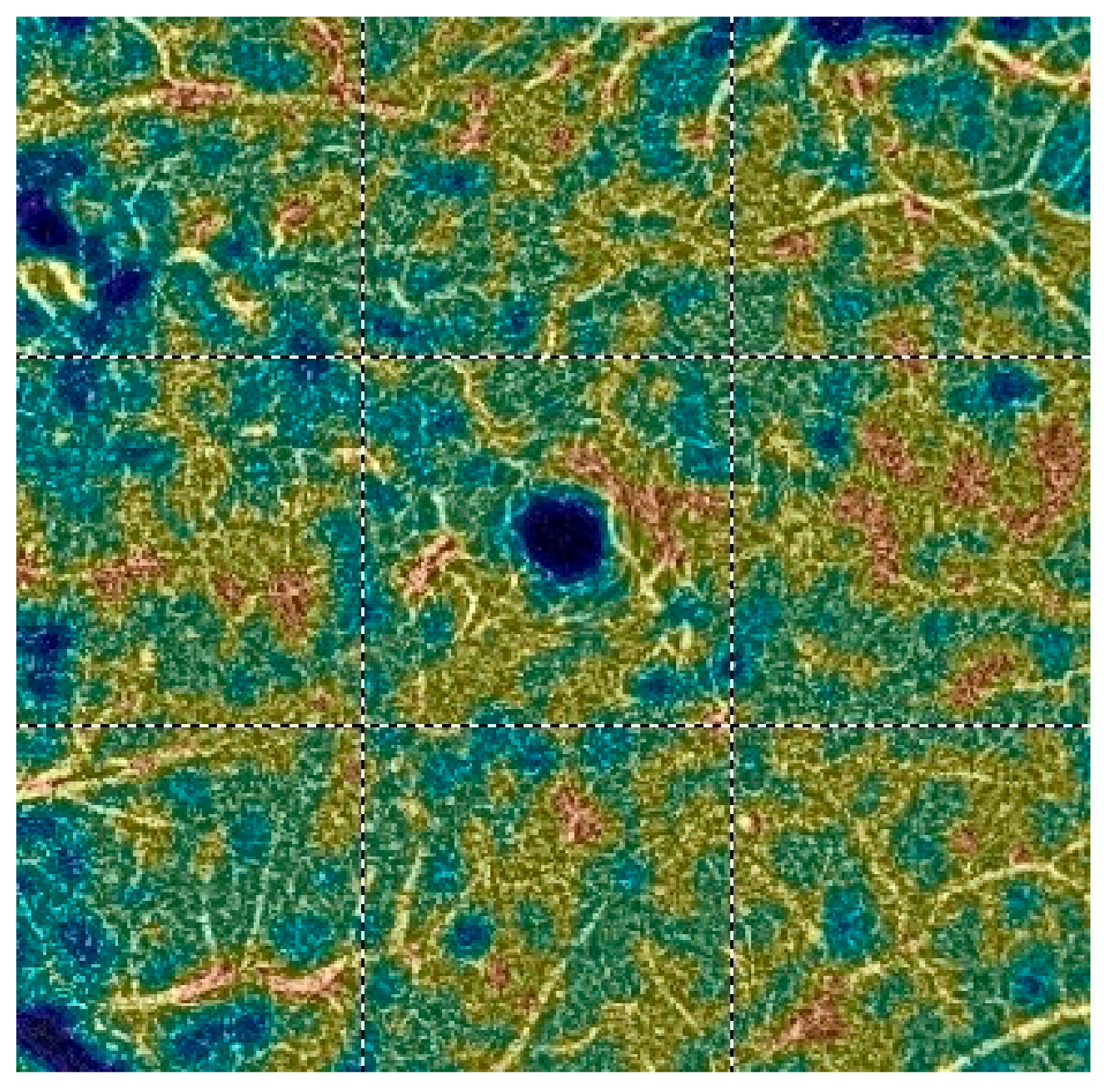 Diagnostics 13 03100 g017