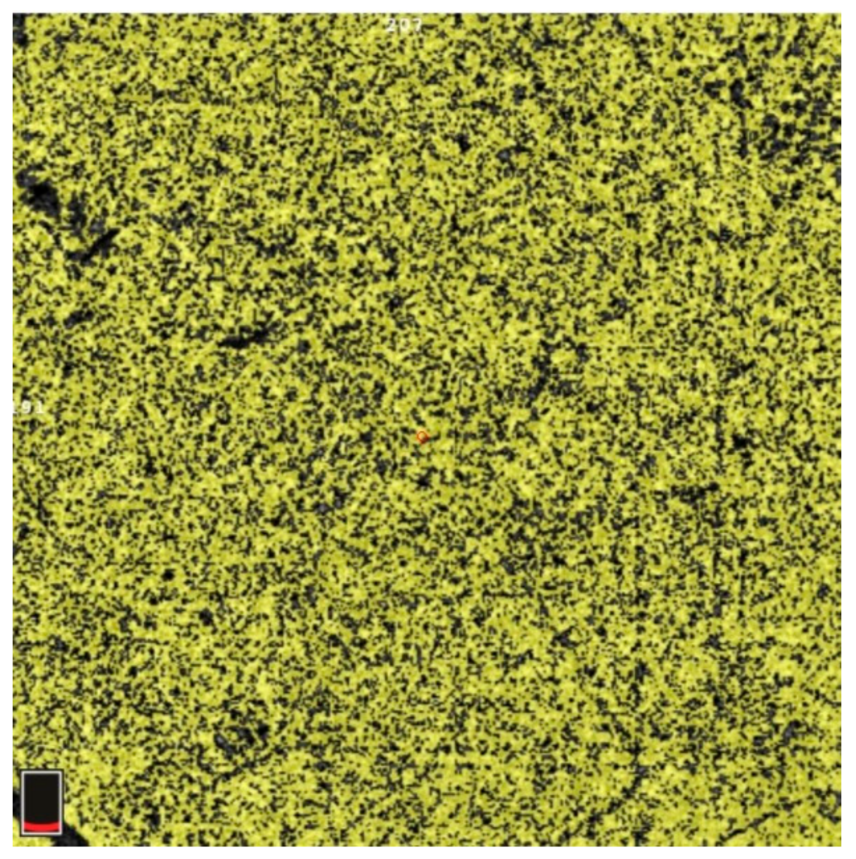 Diagnostics 13 03100 g021