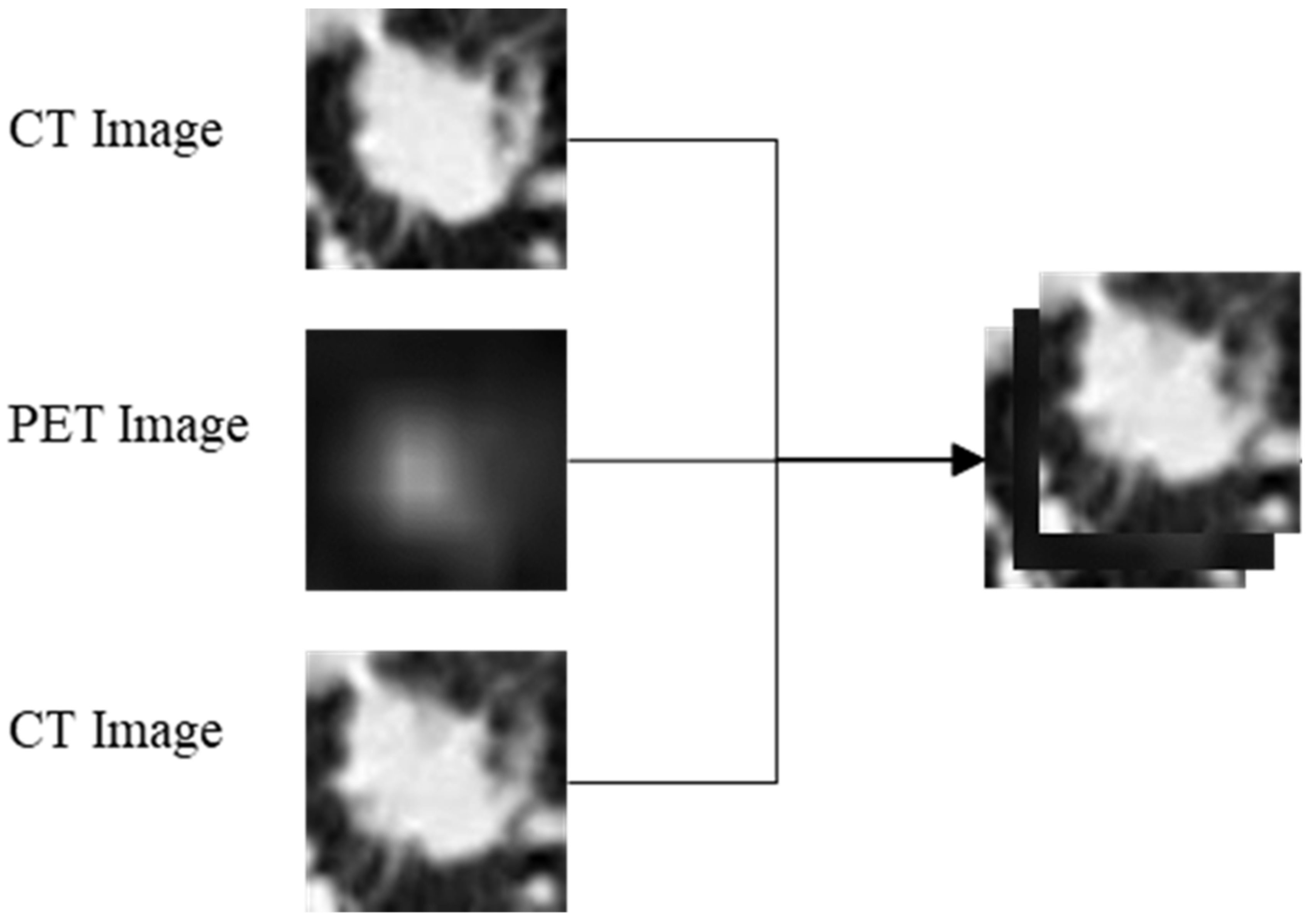Diagnostics Free FullText Deep Learning to Predict the Cell