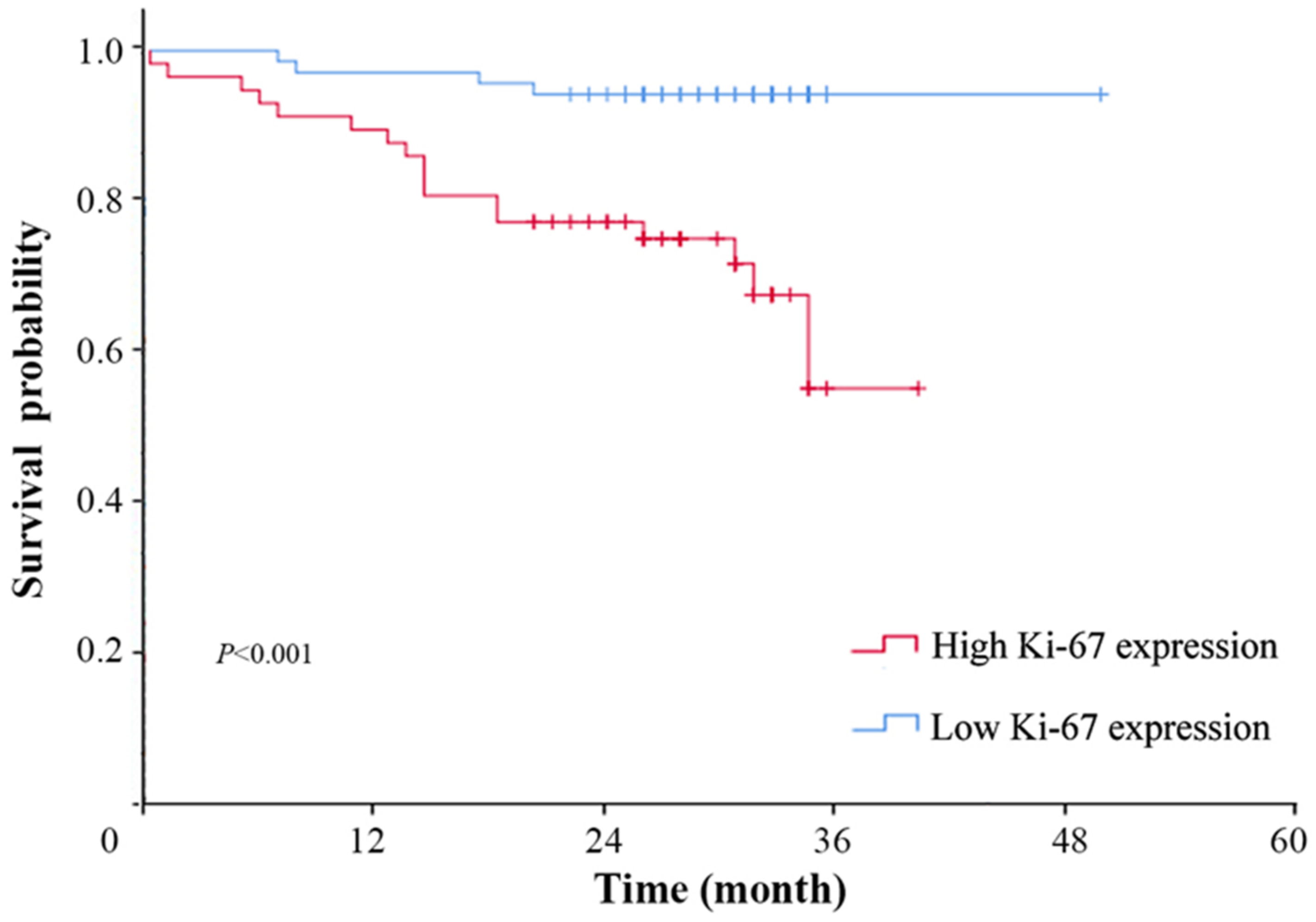 Diagnostics 13 03107 g002
