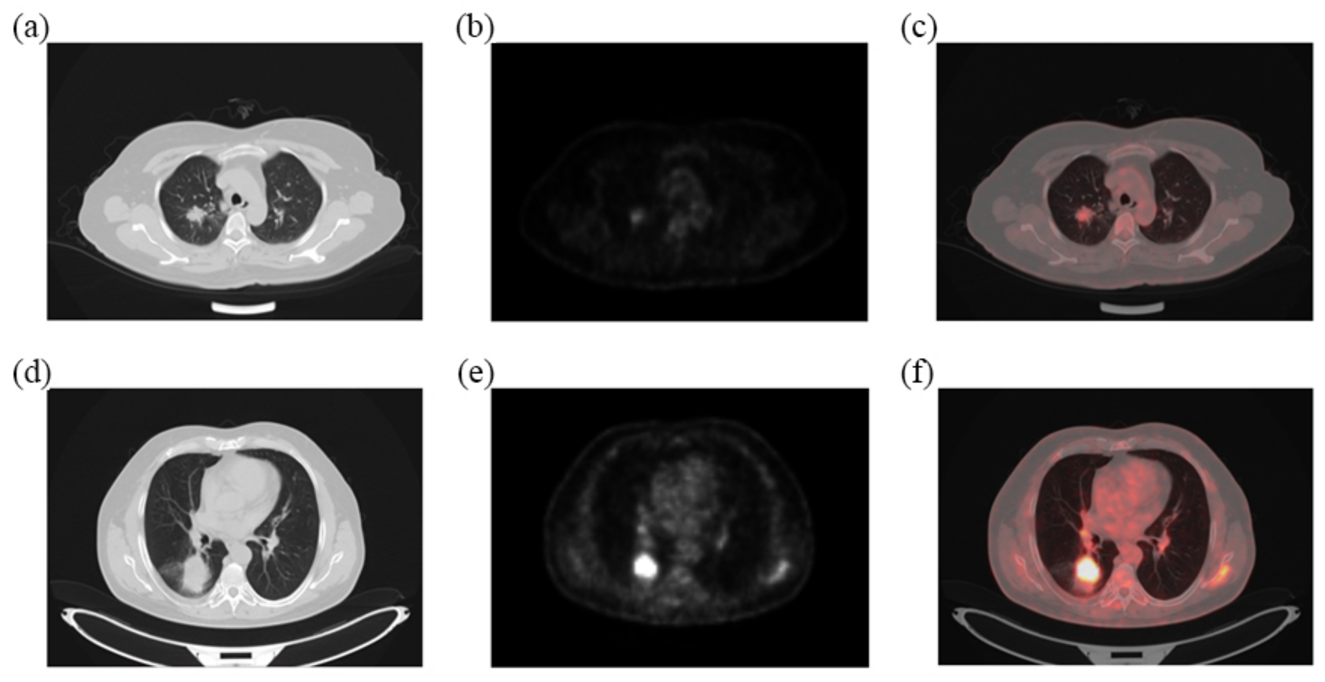 Diagnostics 13 03107 g003