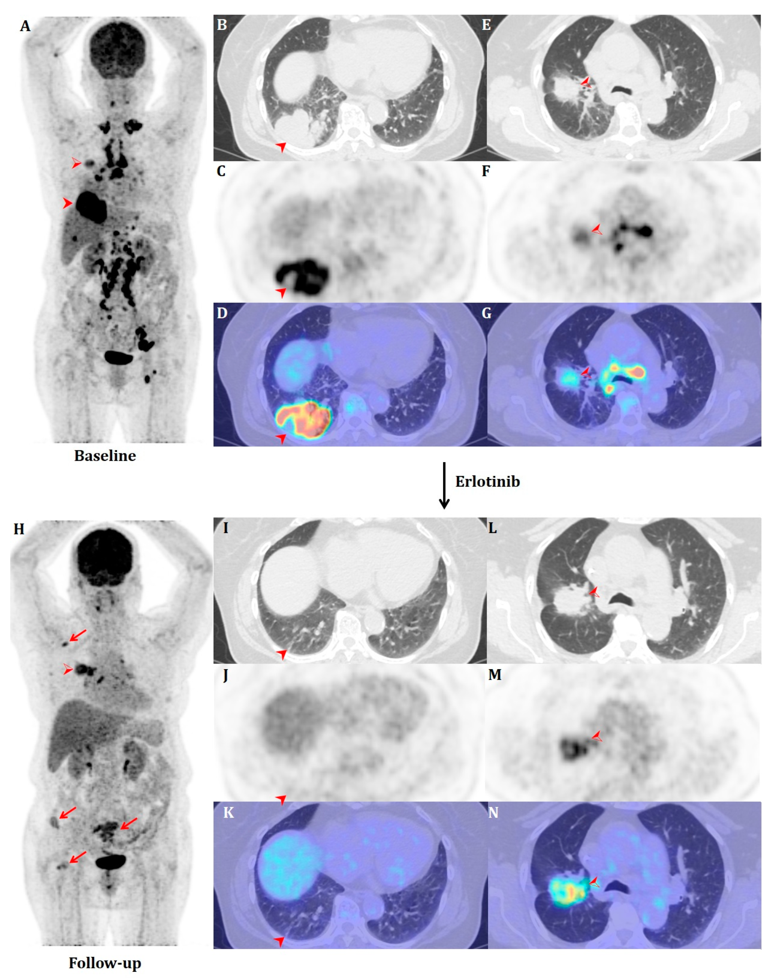 Diagnostics 13 03112 g001