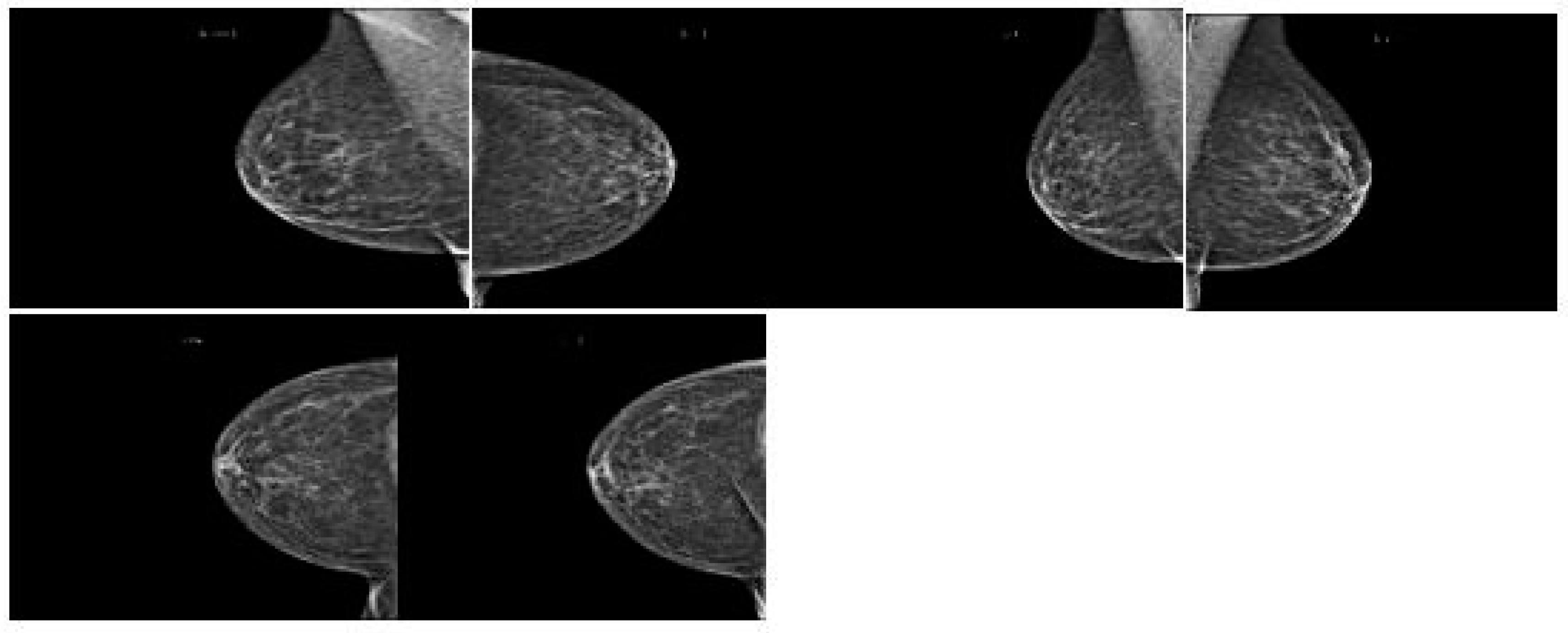 Diagnostics 13 03113 g003