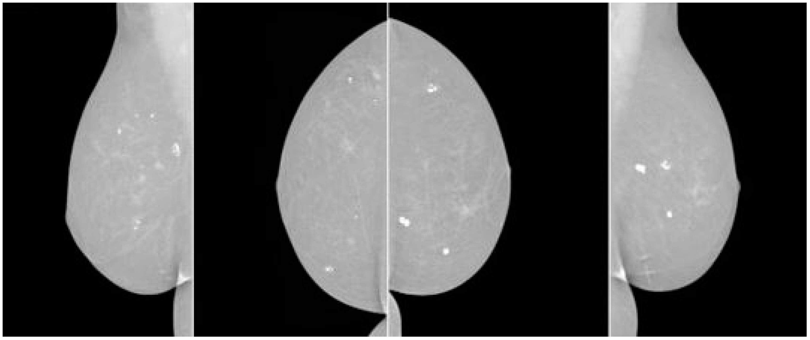 Diagnostics 13 03113 g004