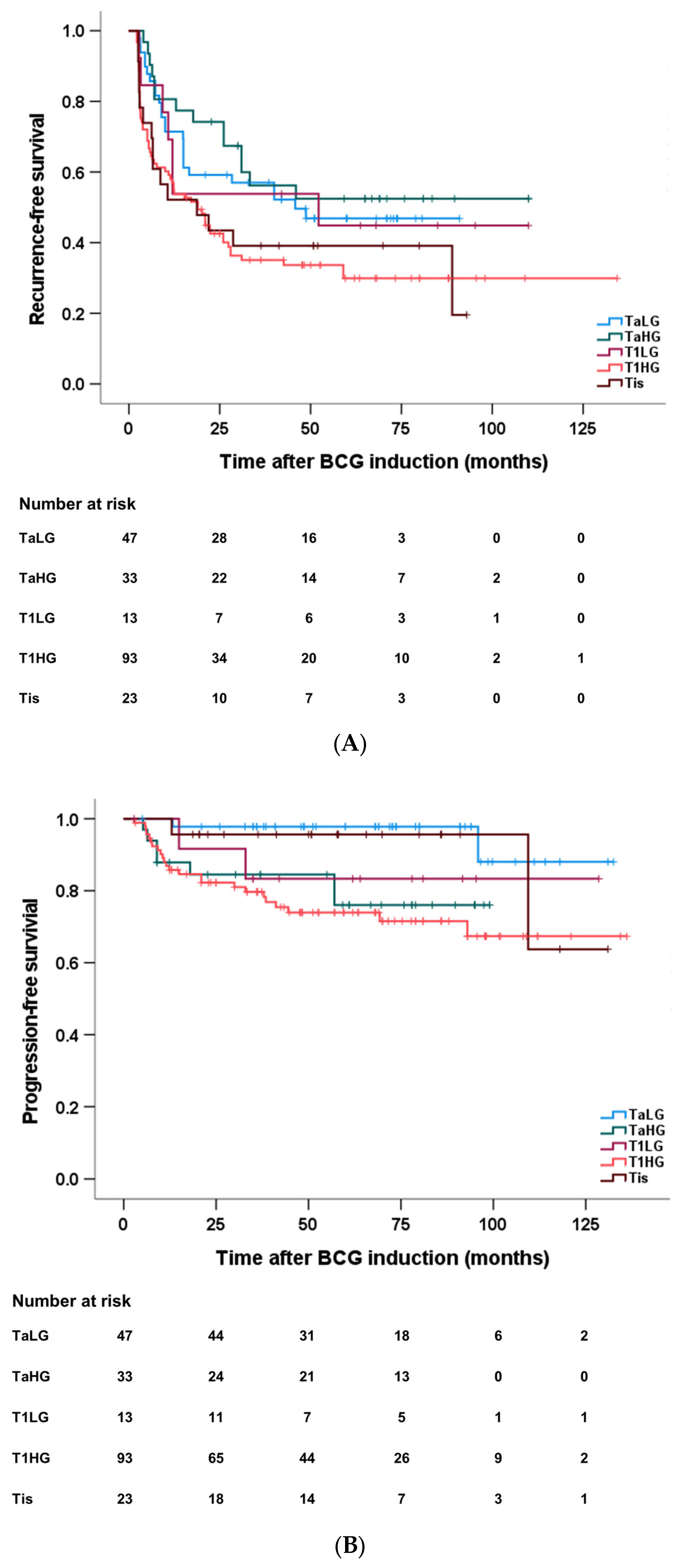 Diagnostics 13 03114 g001
