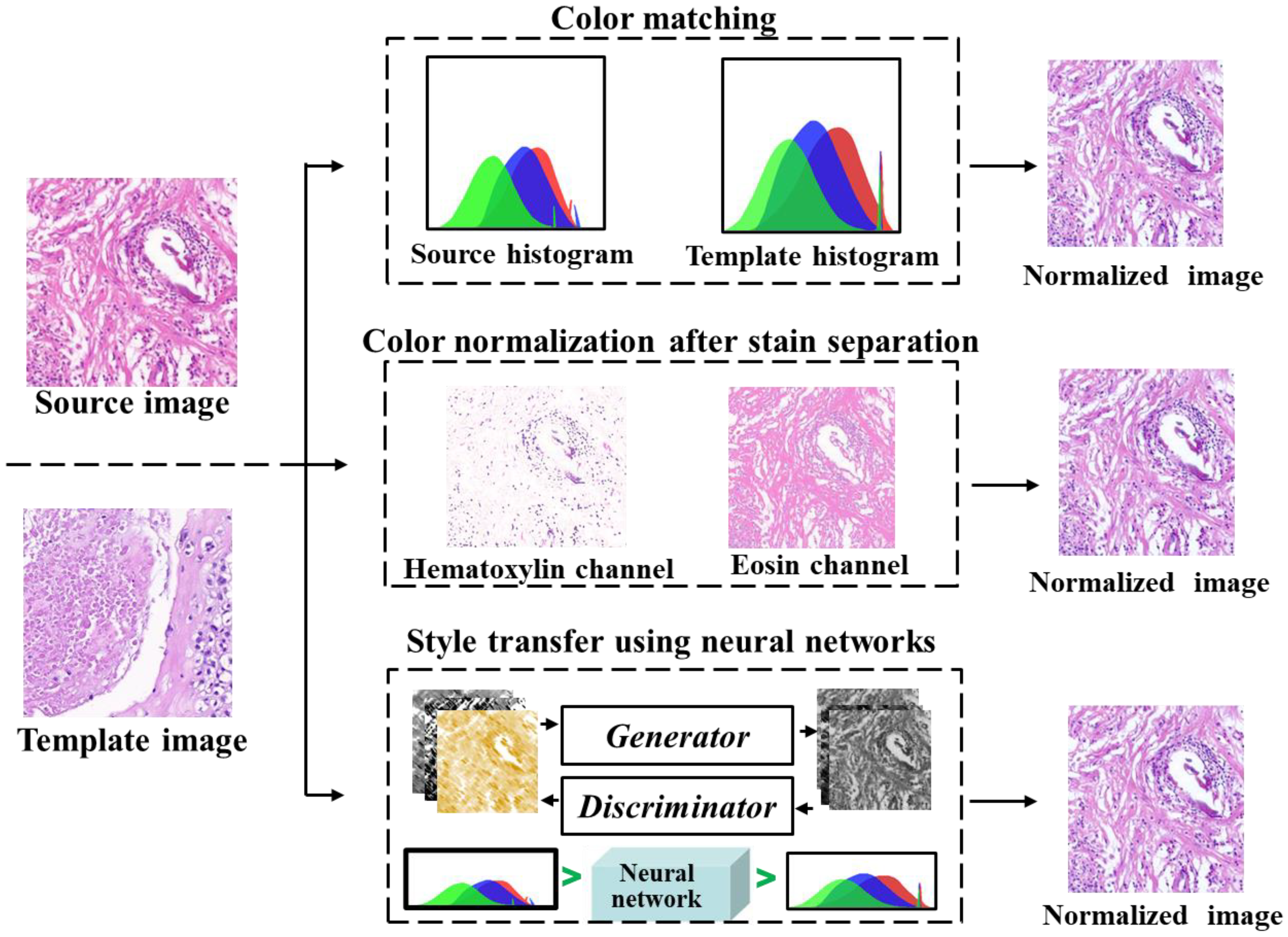 Diagnostics 13 03115 g004