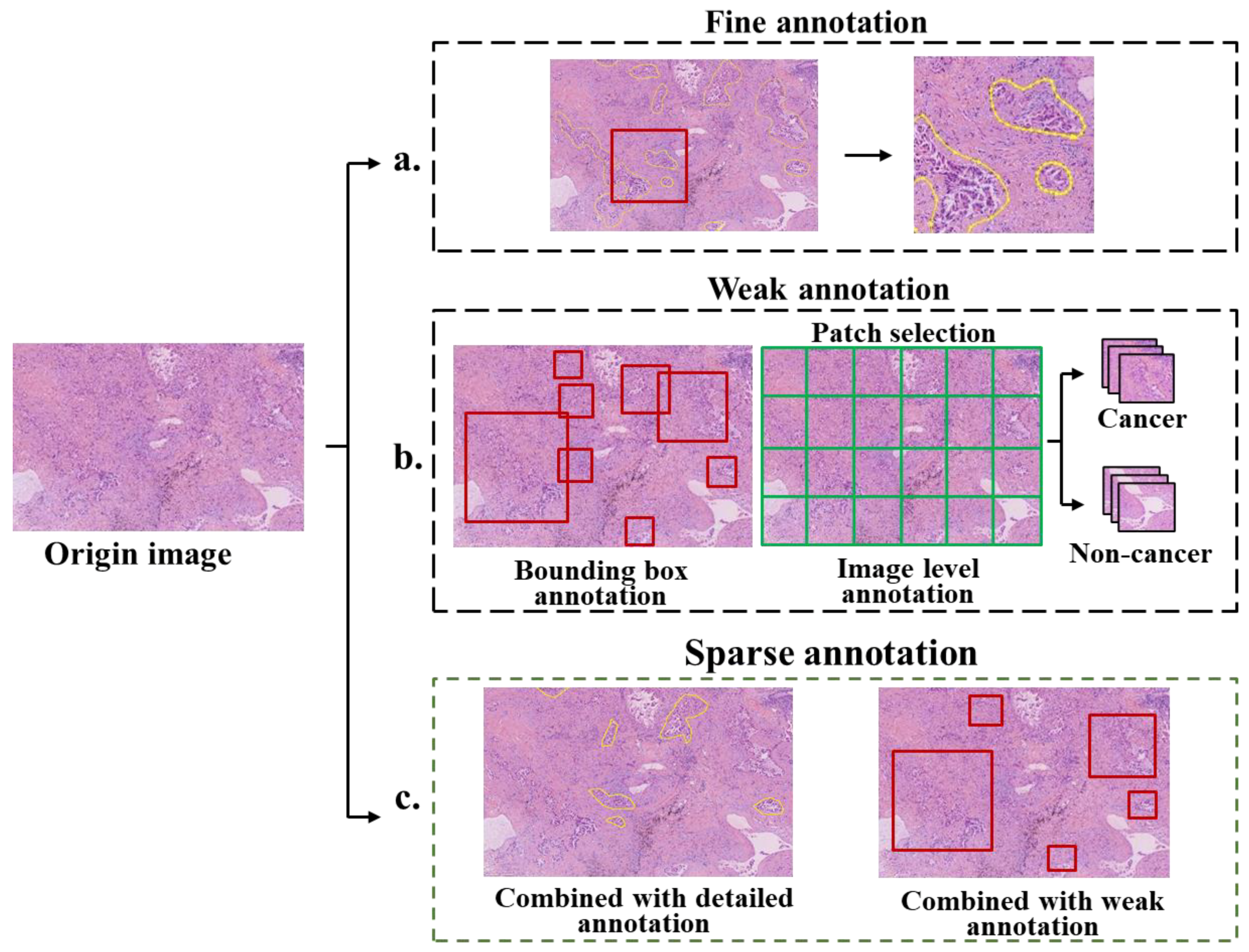 Diagnostics 13 03115 g007