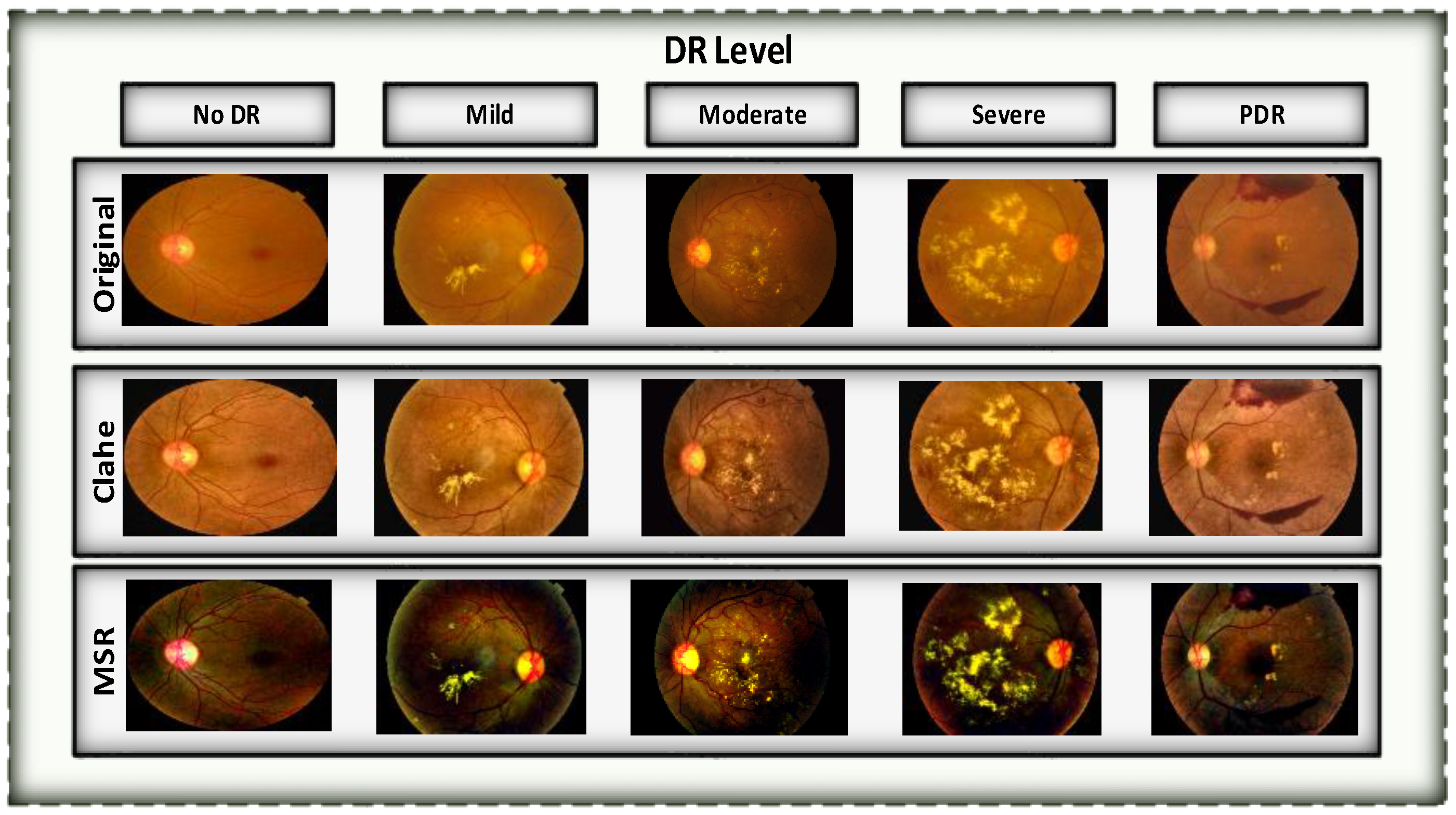 Diagnostics 13 03116 g006