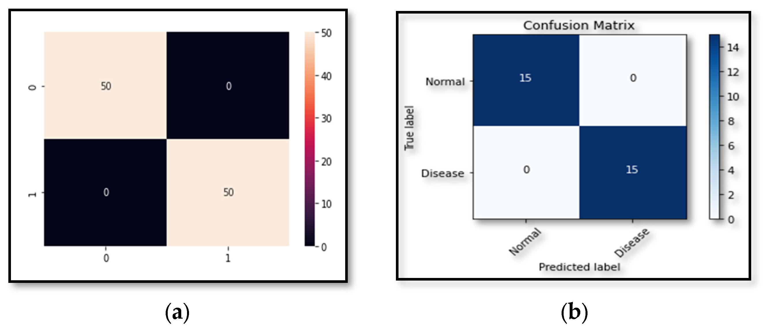 Diagnostics 13 03116 g010