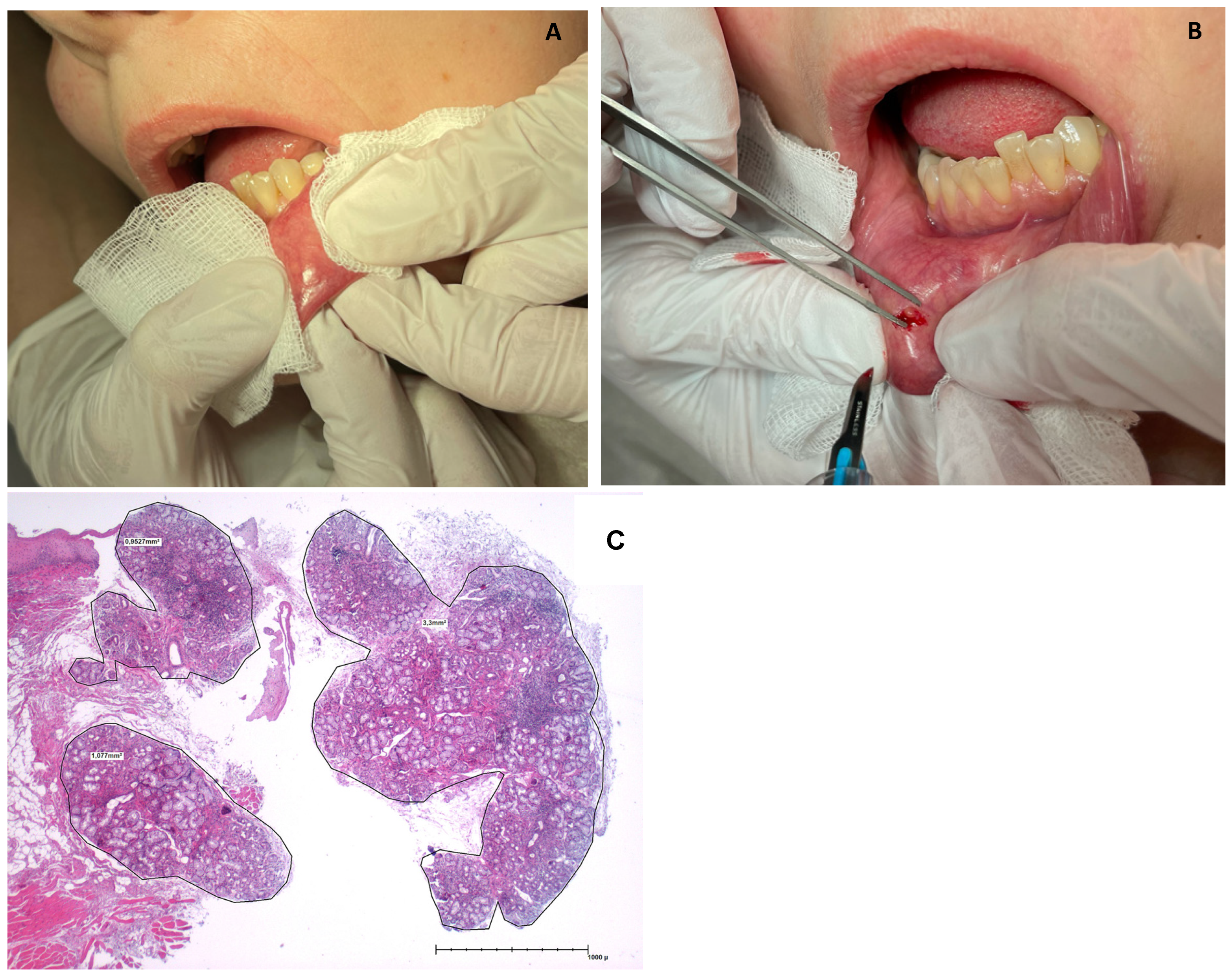 Diagnostics 13 03117 g002 Diagnostics 13 03117 g002