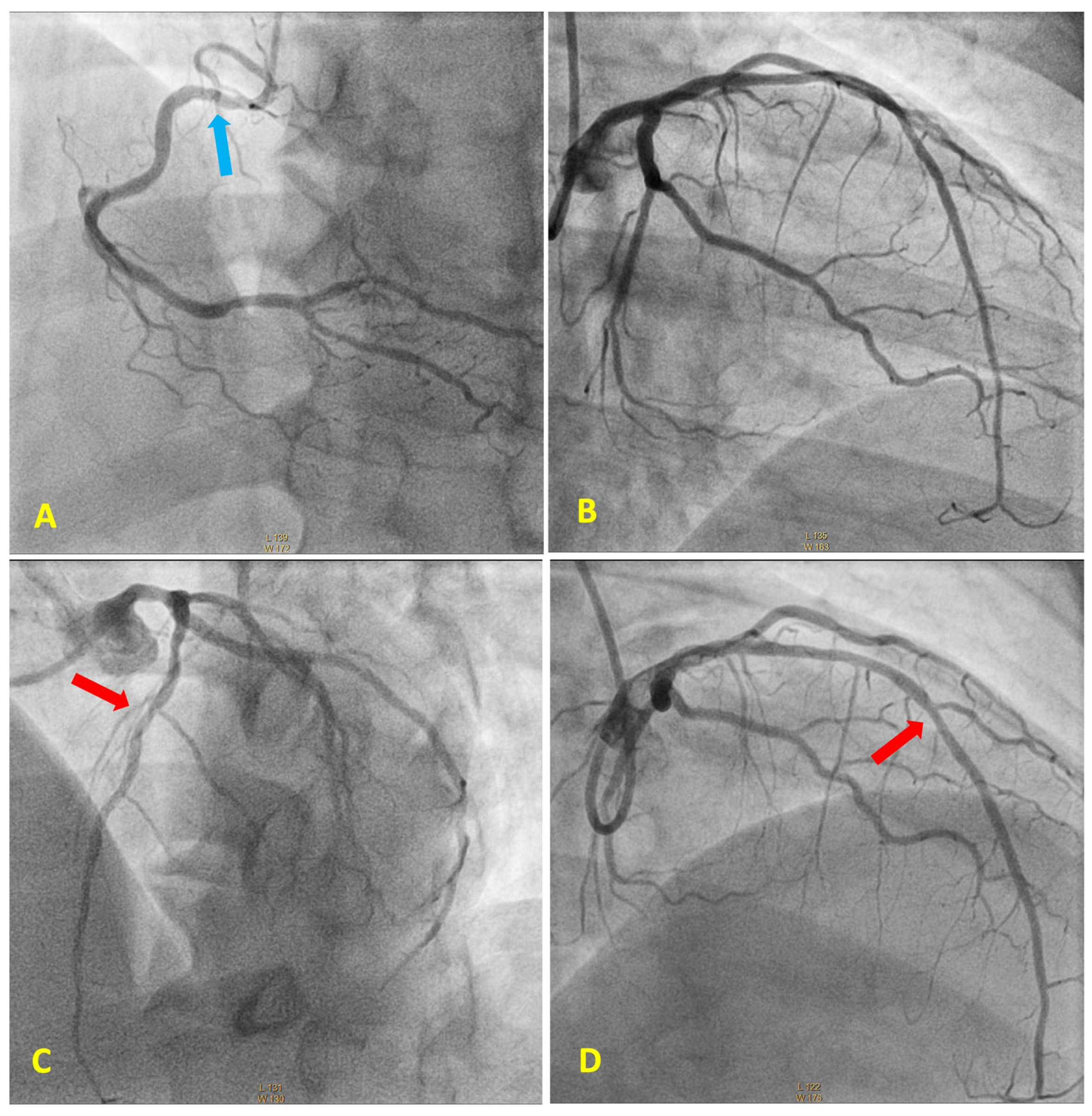 Diagnostics 13 03118 g002 Diagnostics 13 03118 g002