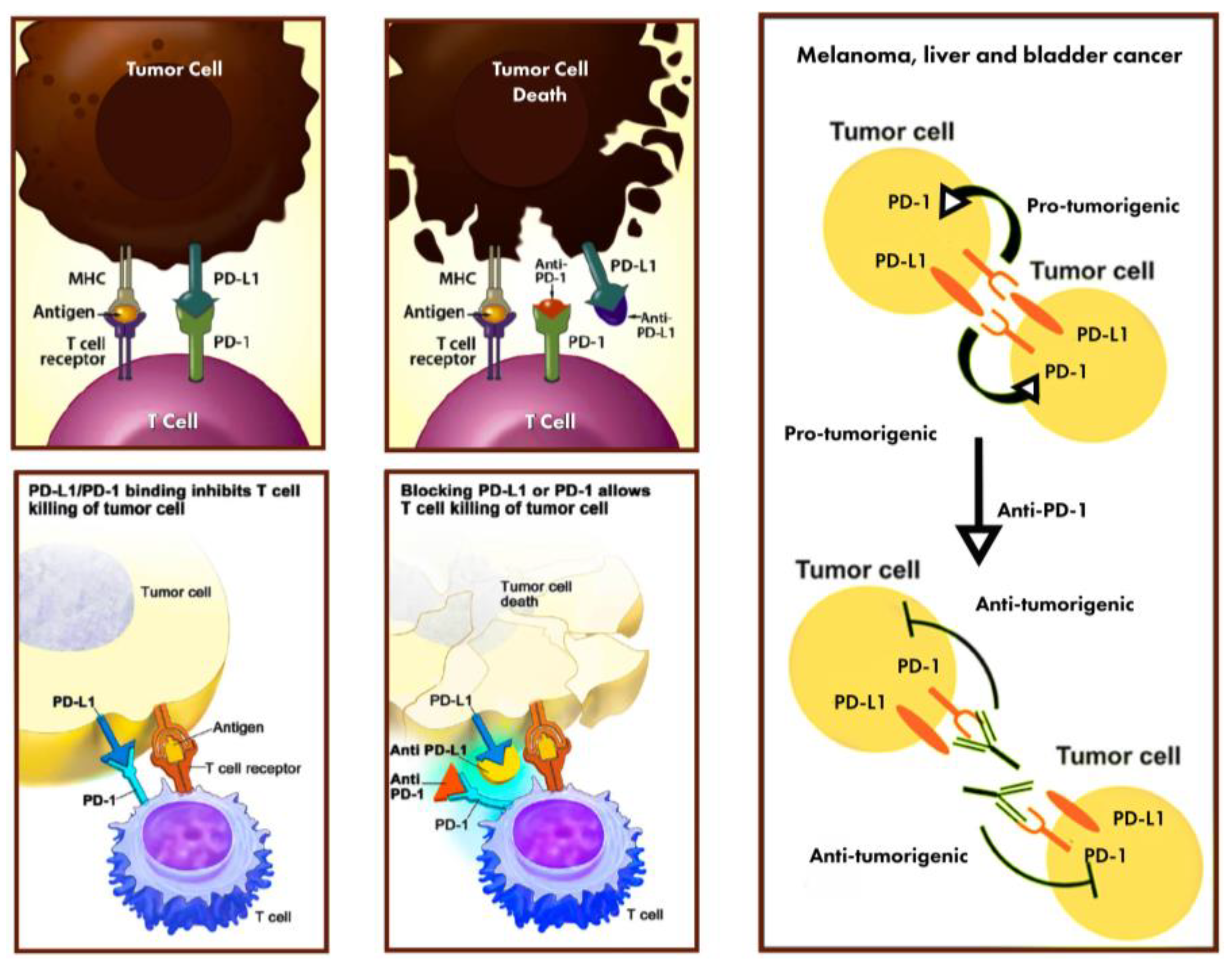 Diagnostics 13 03119 g001