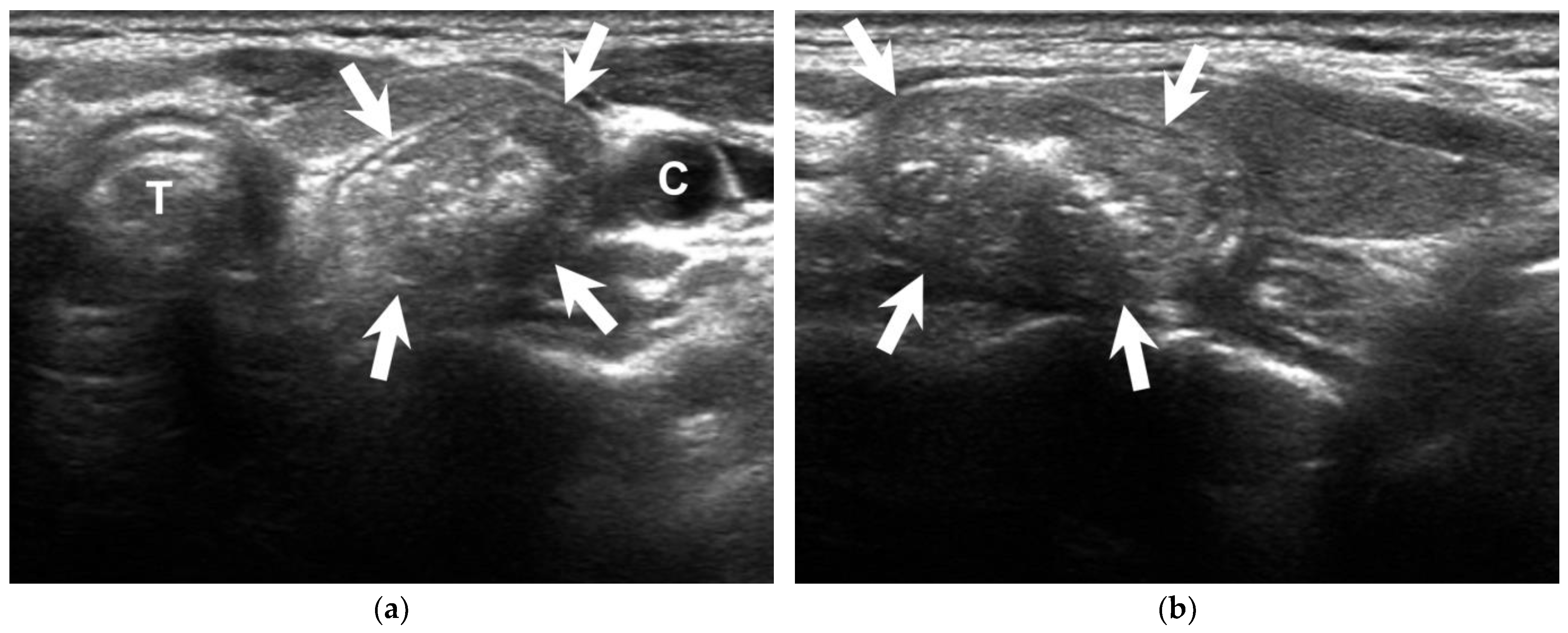 Diagnostics 13 03128 g001 Diagnostics 13 03128 g001