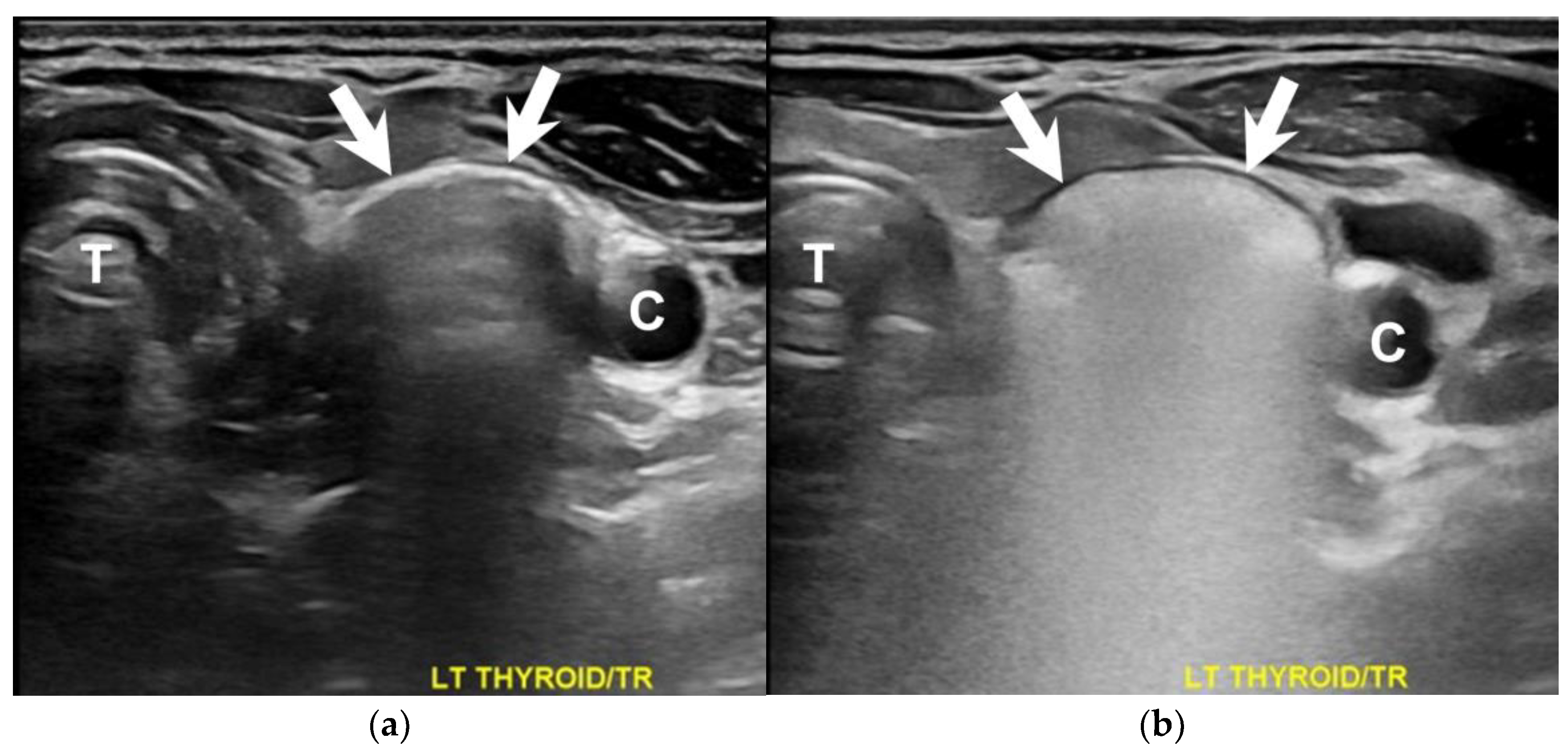 Diagnostics 13 03128 g002 Diagnostics 13 03128 g002