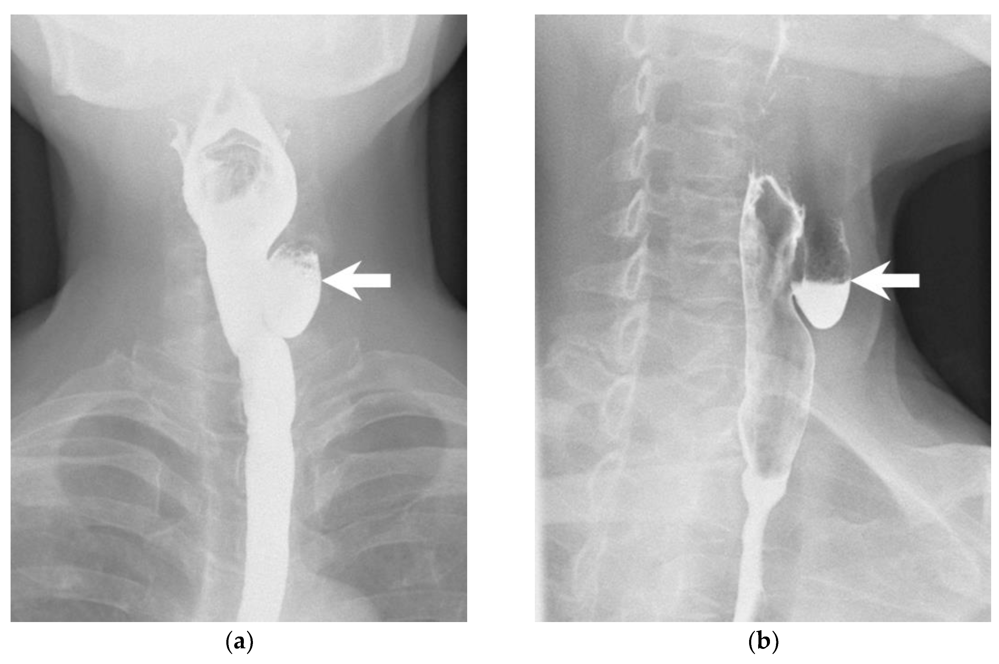 Diagnostics 13 03128 g004 Diagnostics 13 03128 g004