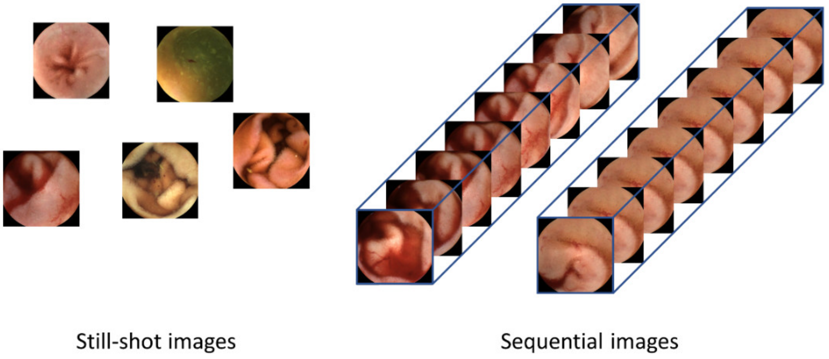 Diagnostics 13 03133 g001