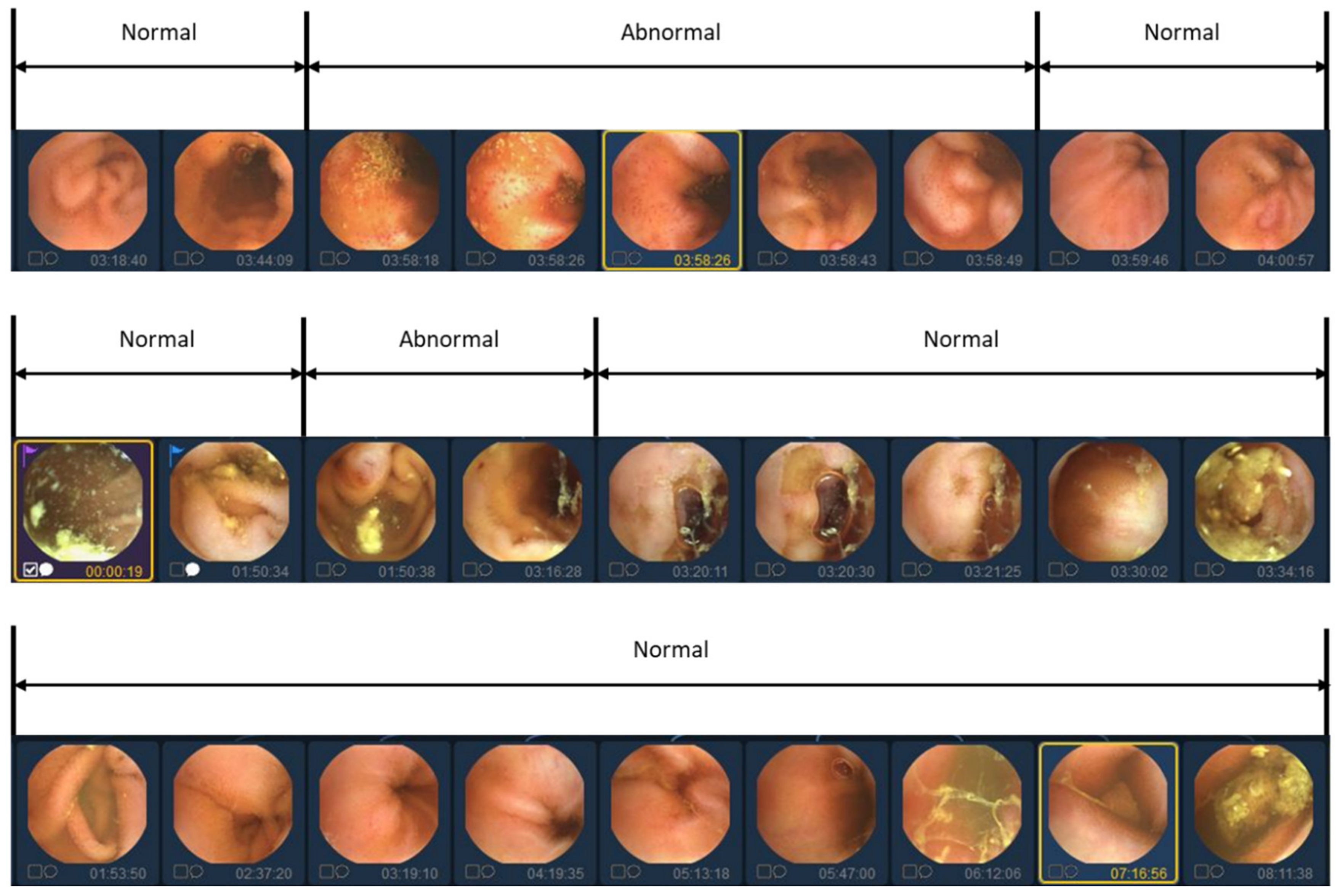 Diagnostics 13 03133 g002