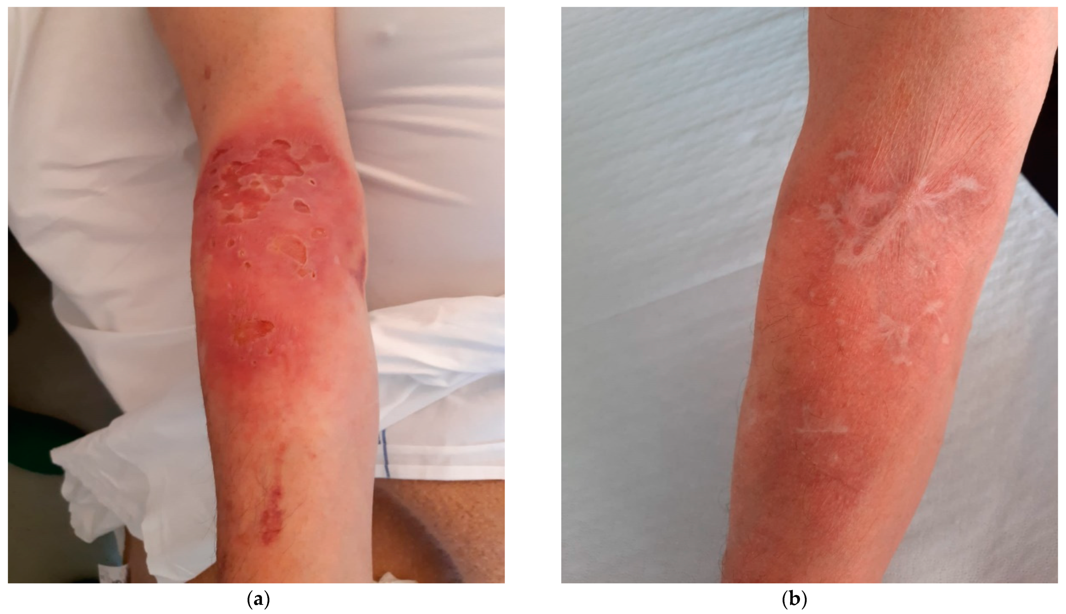 Diagnostics 13 03149 g001