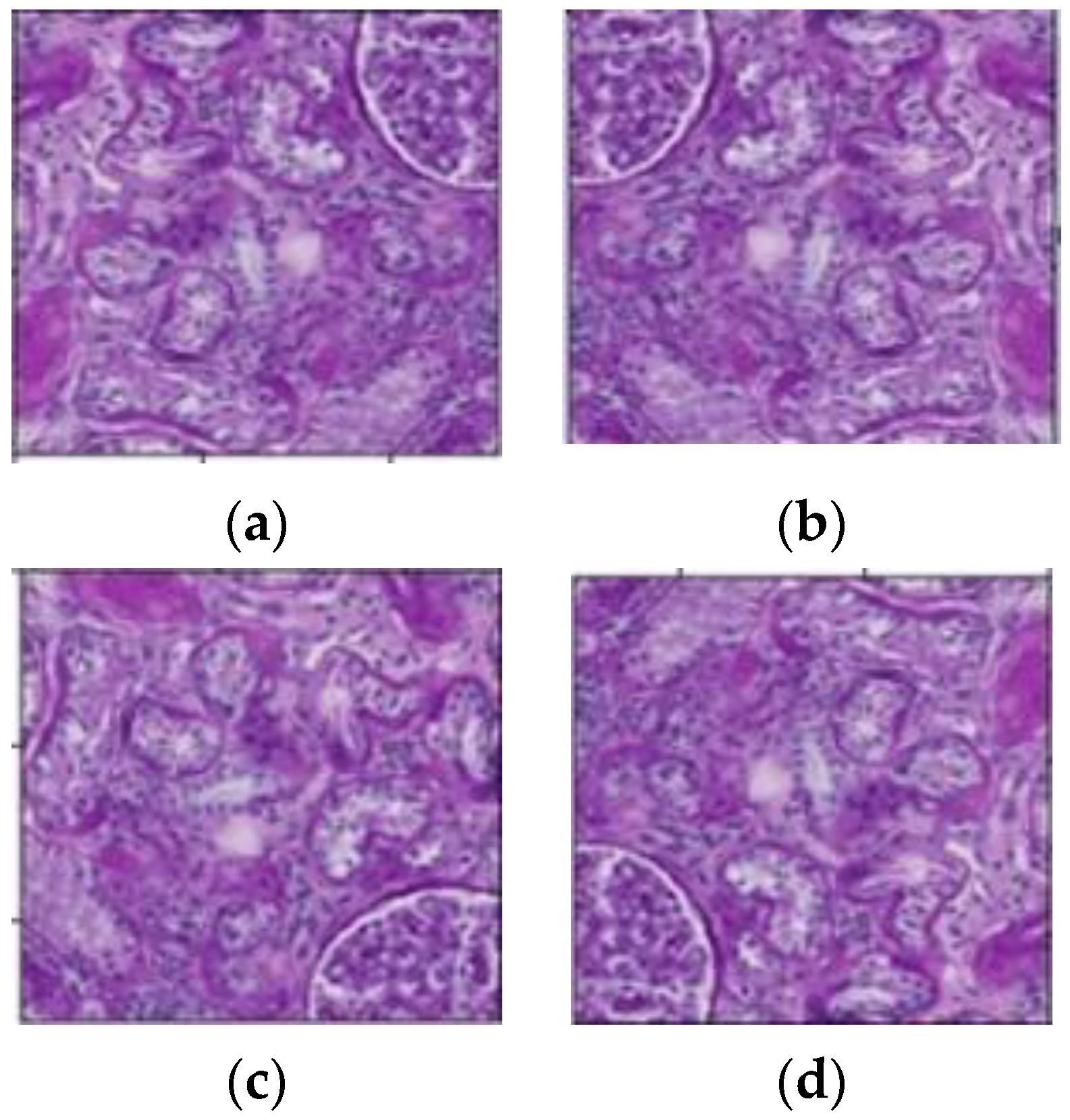 Diagnostics 13 03152 g003