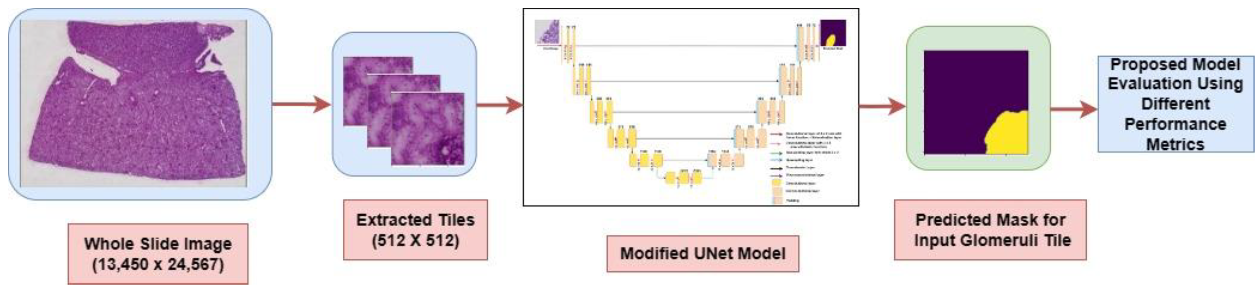 Diagnostics 13 03152 g005