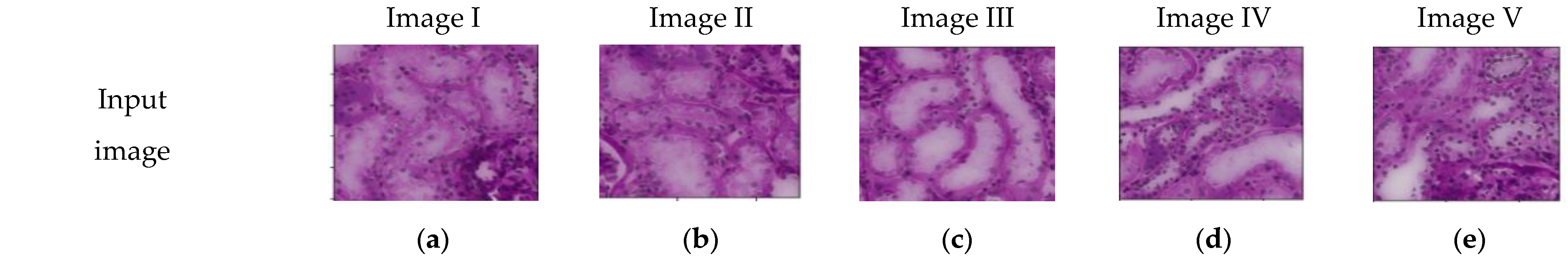 Diagnostics 13 03152 g007a