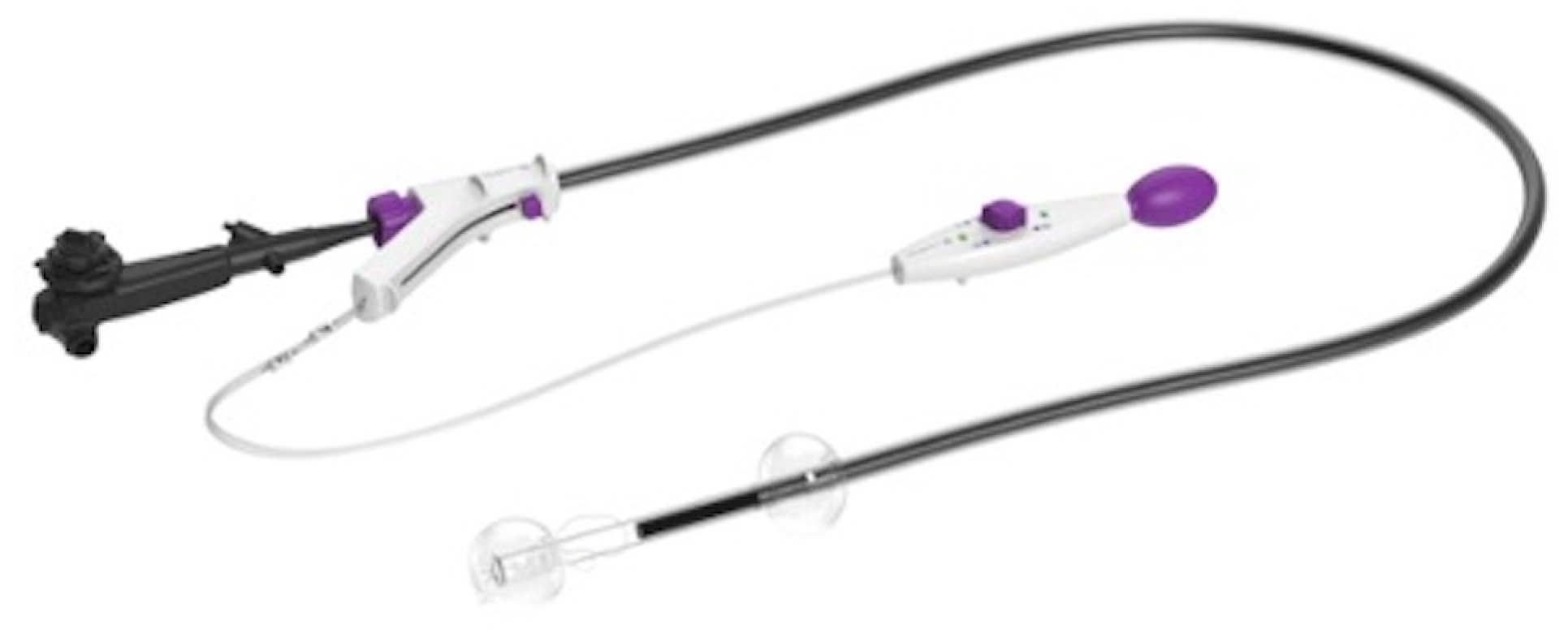 Diagnostics 13 03154 g001