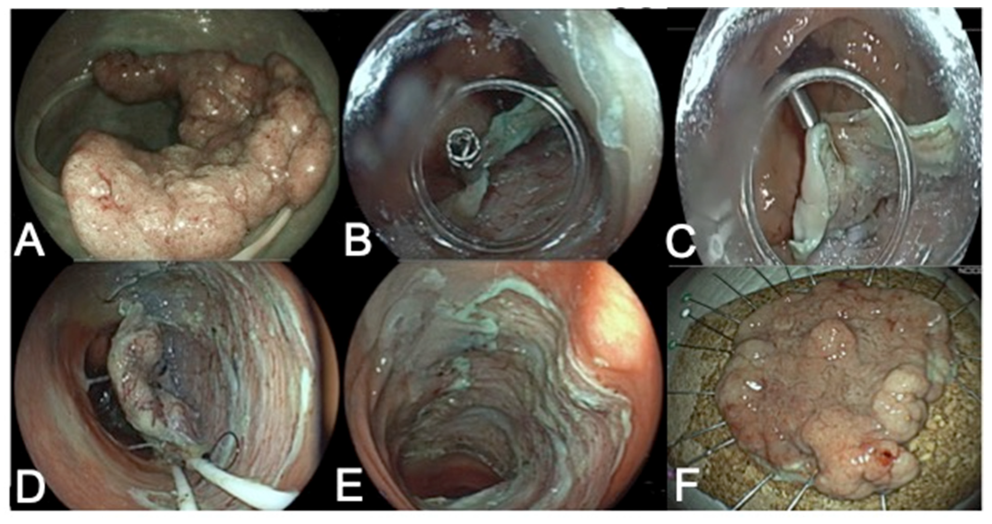 Diagnostics 13 03154 g003