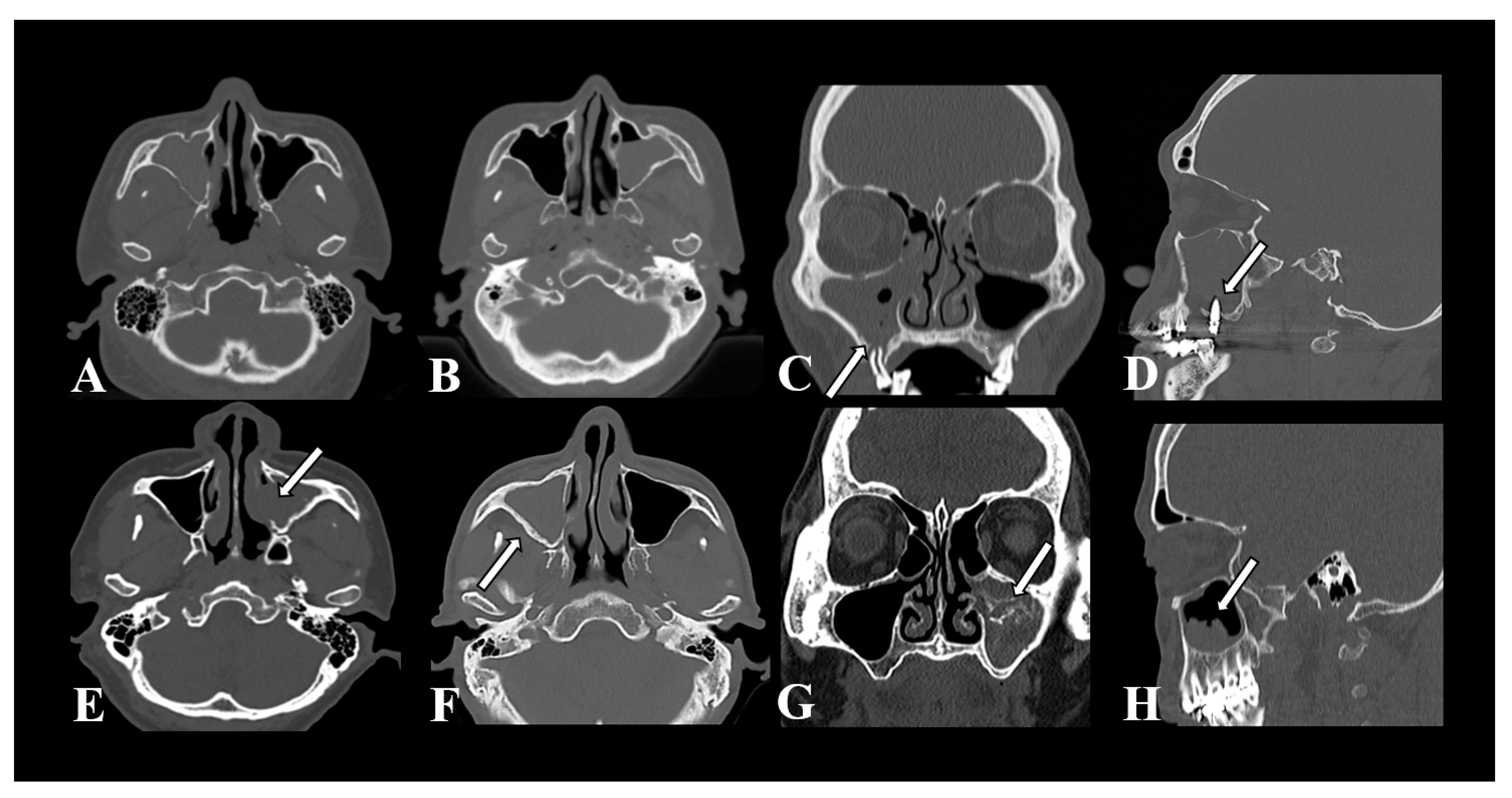 Diagnostics 13 03156 g001