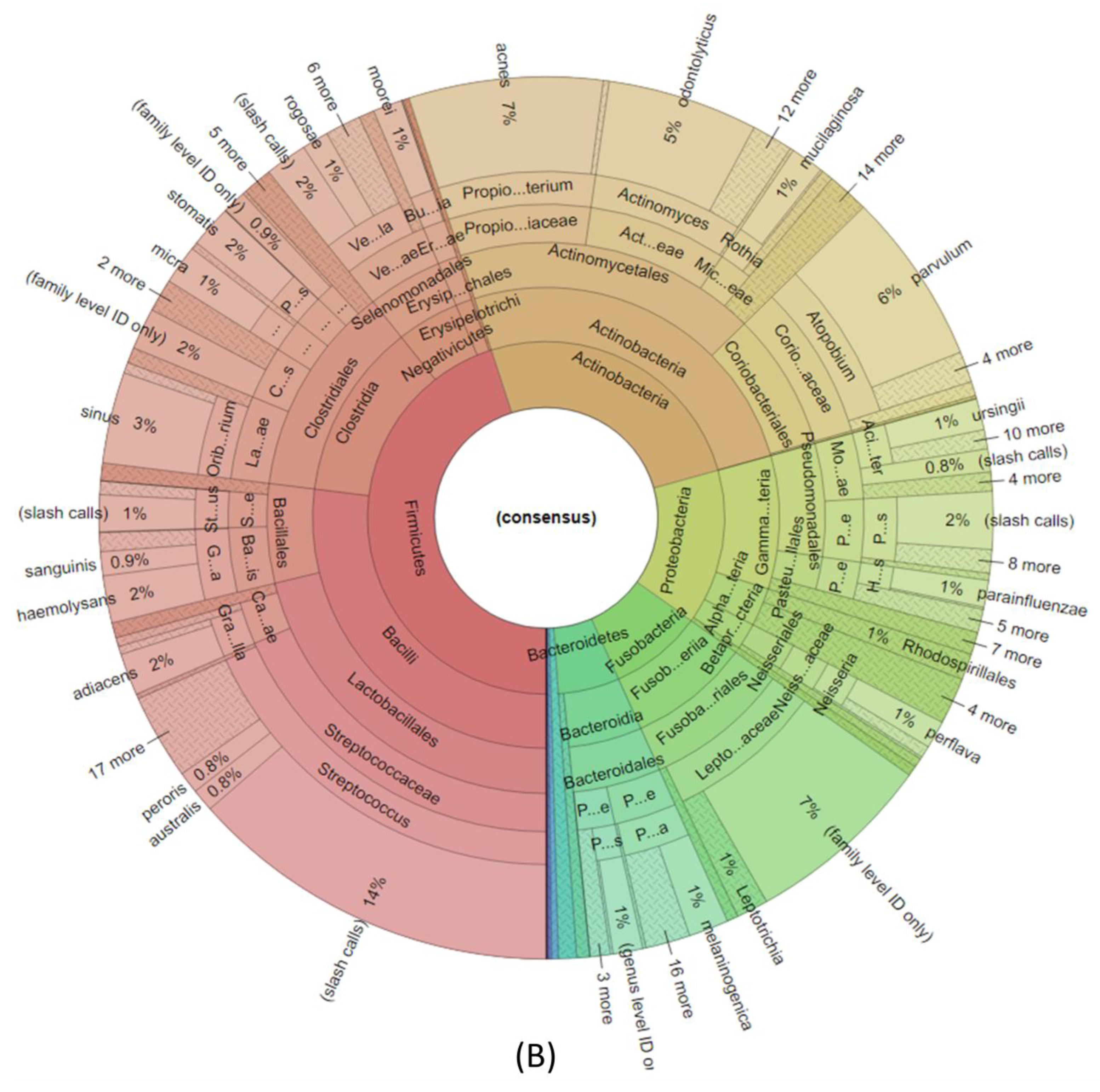 Diagnostics 13 03157 g001b