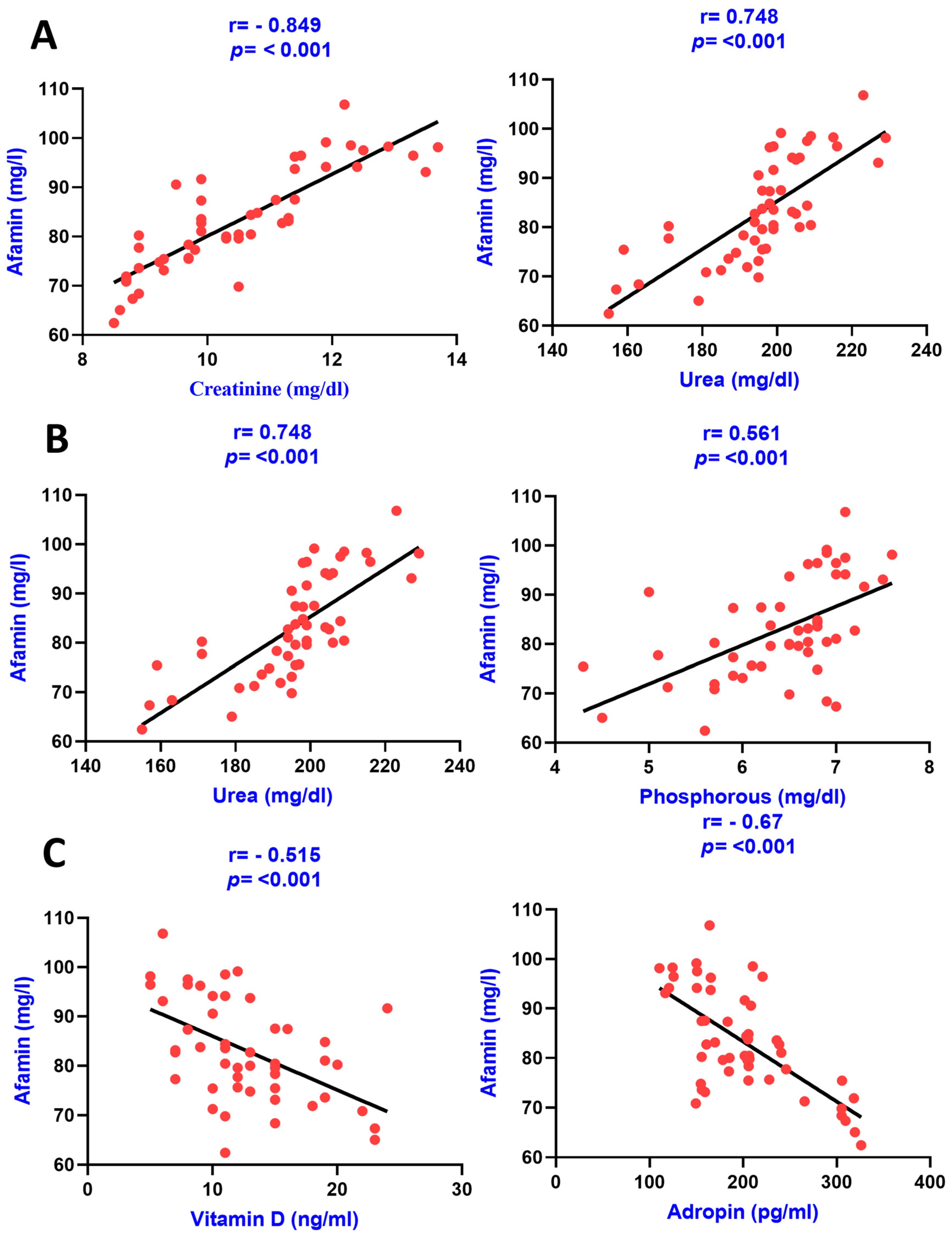 Diagnostics 13 03158 g003