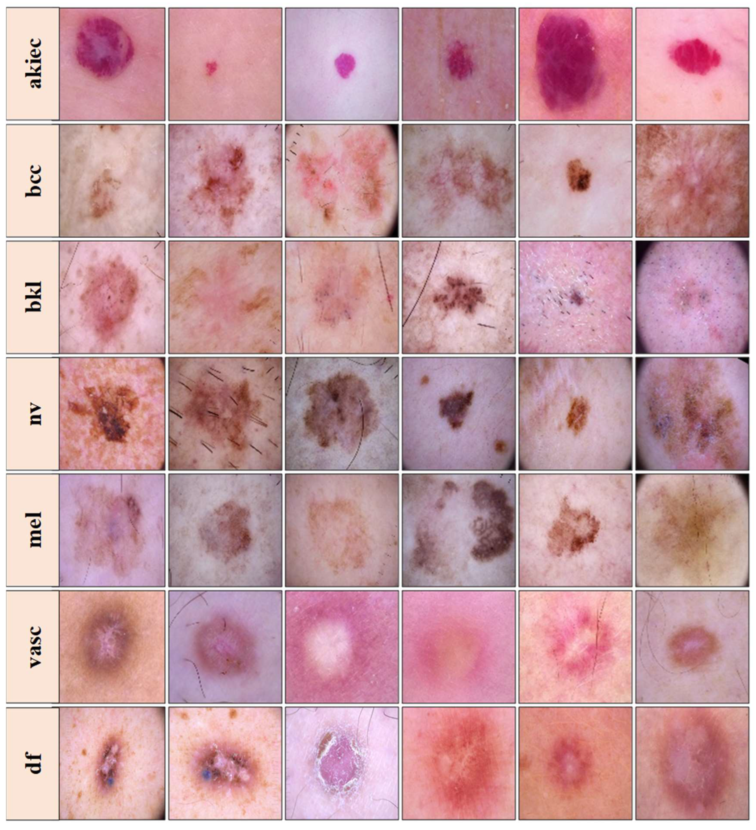 Diagnostics 13 03159 g002