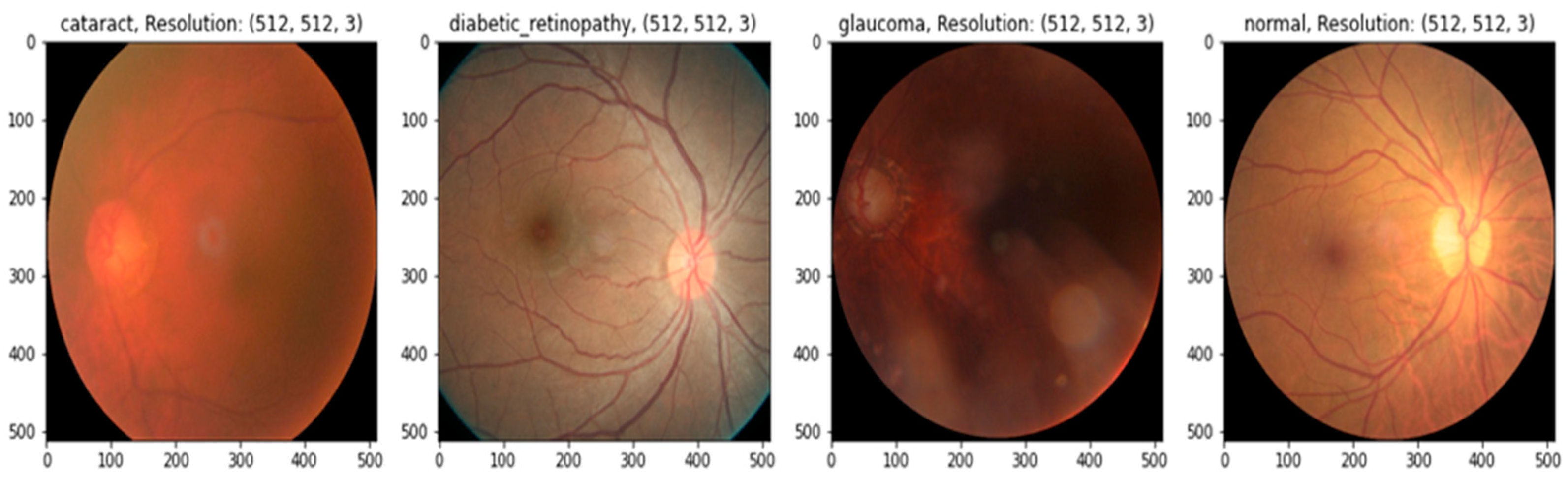Diagnostics 13 03165 g001