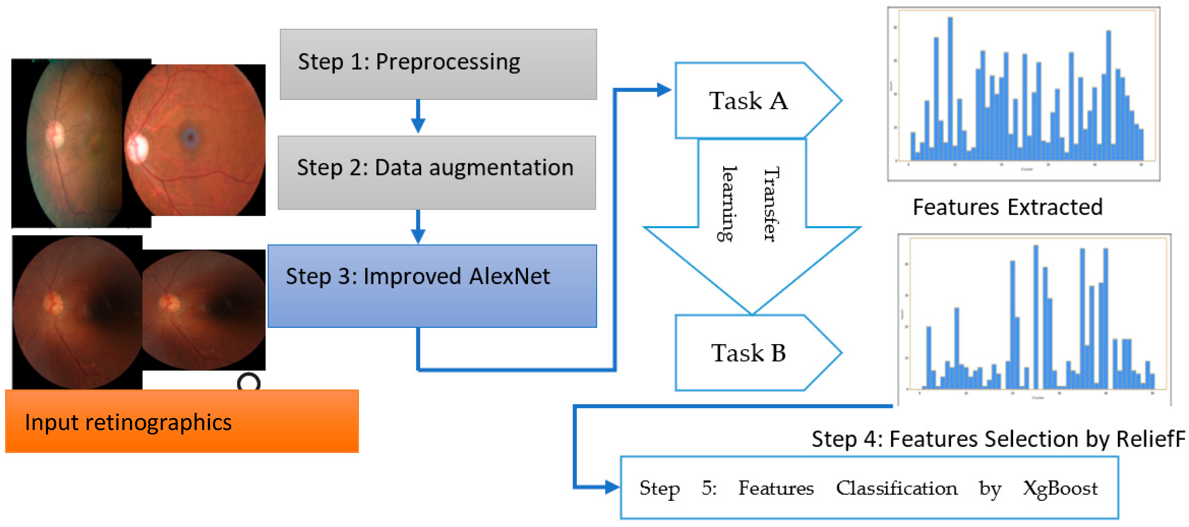 Diagnostics 13 03165 g002