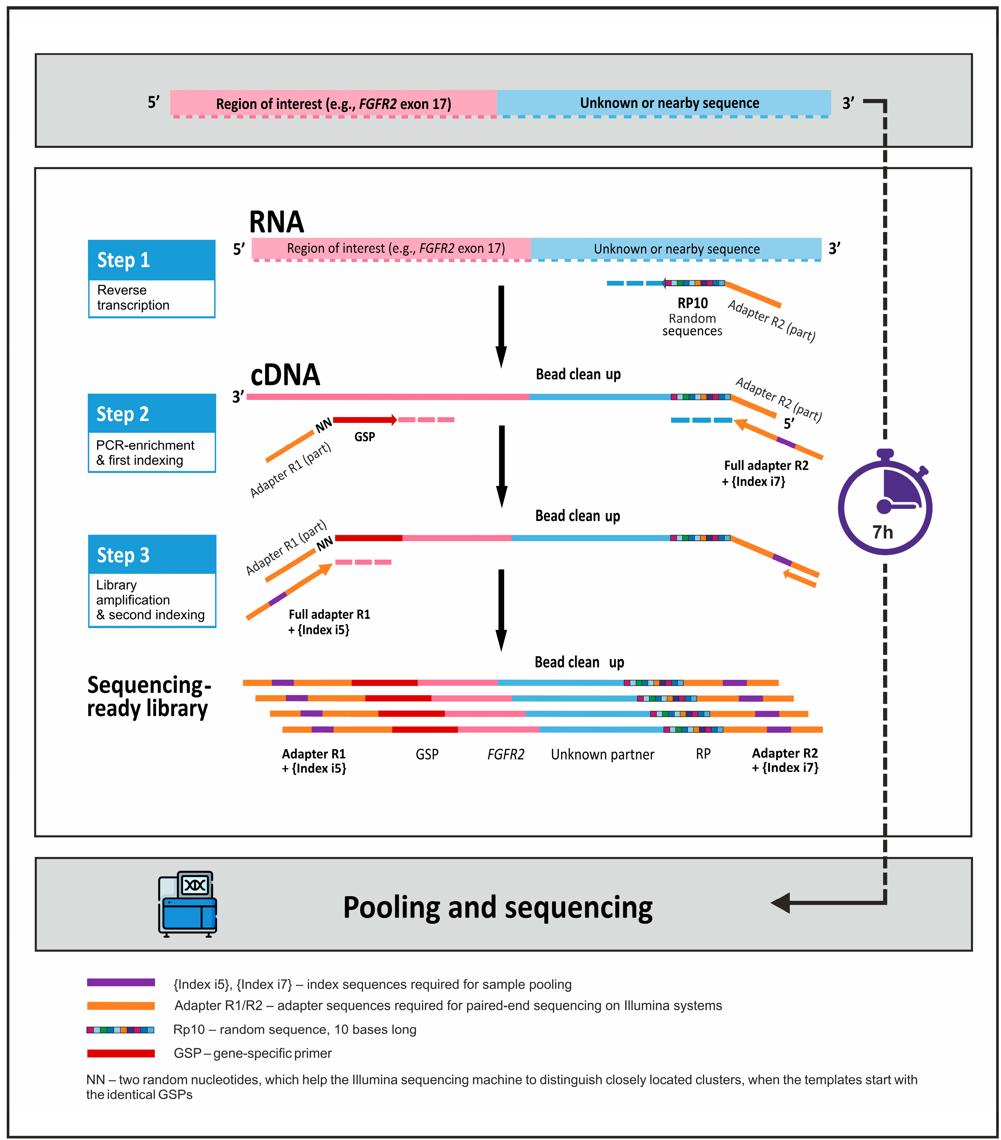 Diagnostics 13 03168 g001