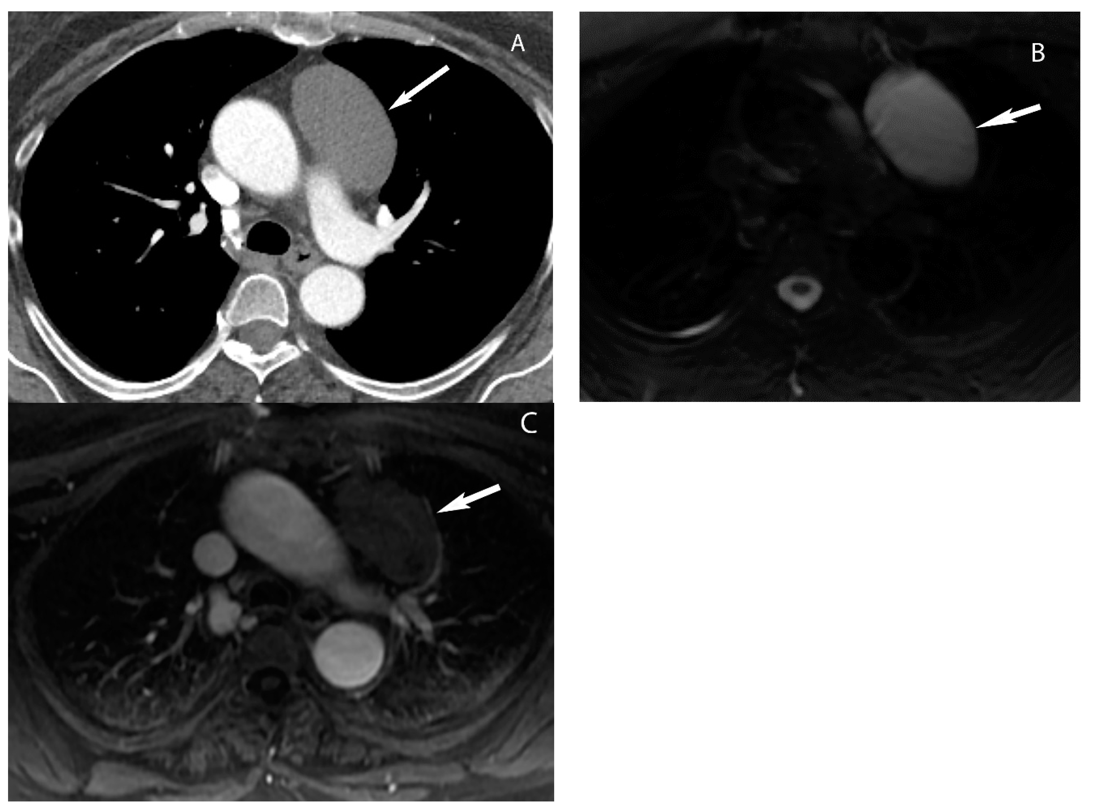 Diagnostics 13 03171 g005