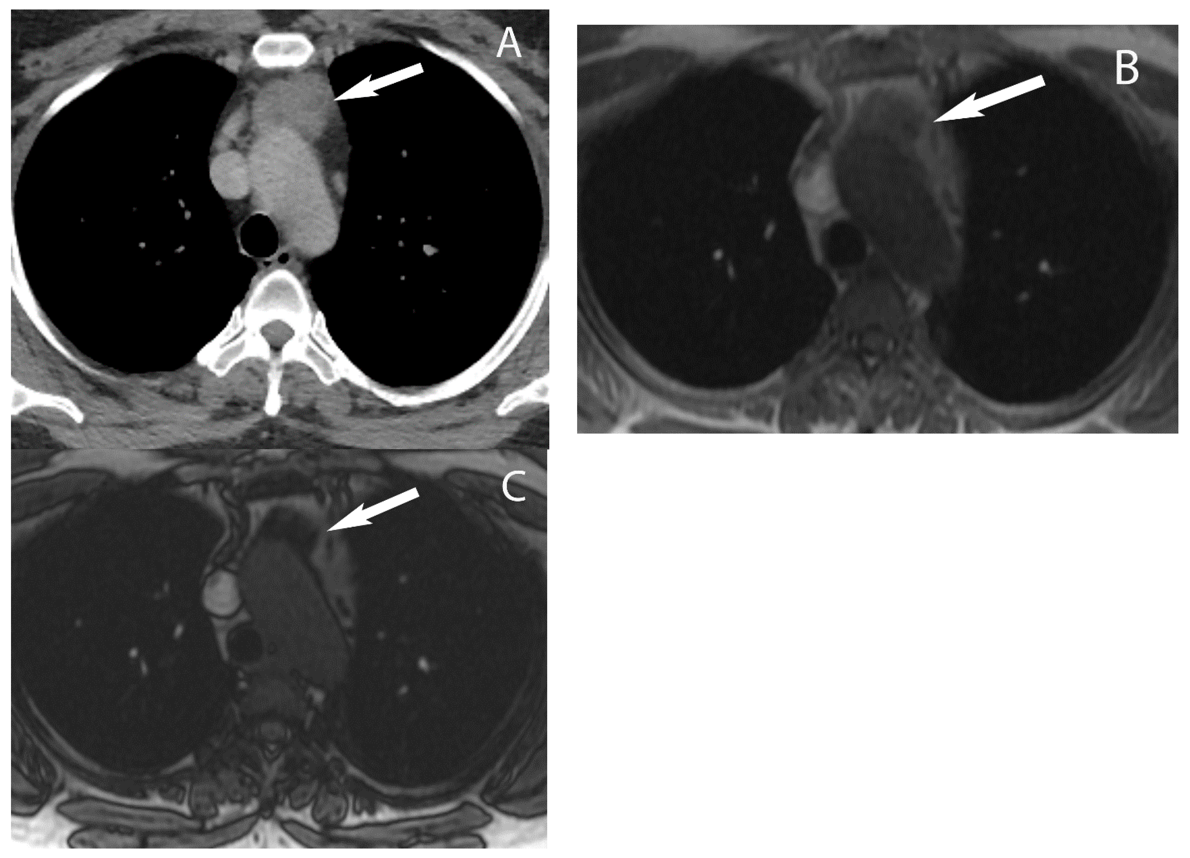 Diagnostics 13 03171 g008