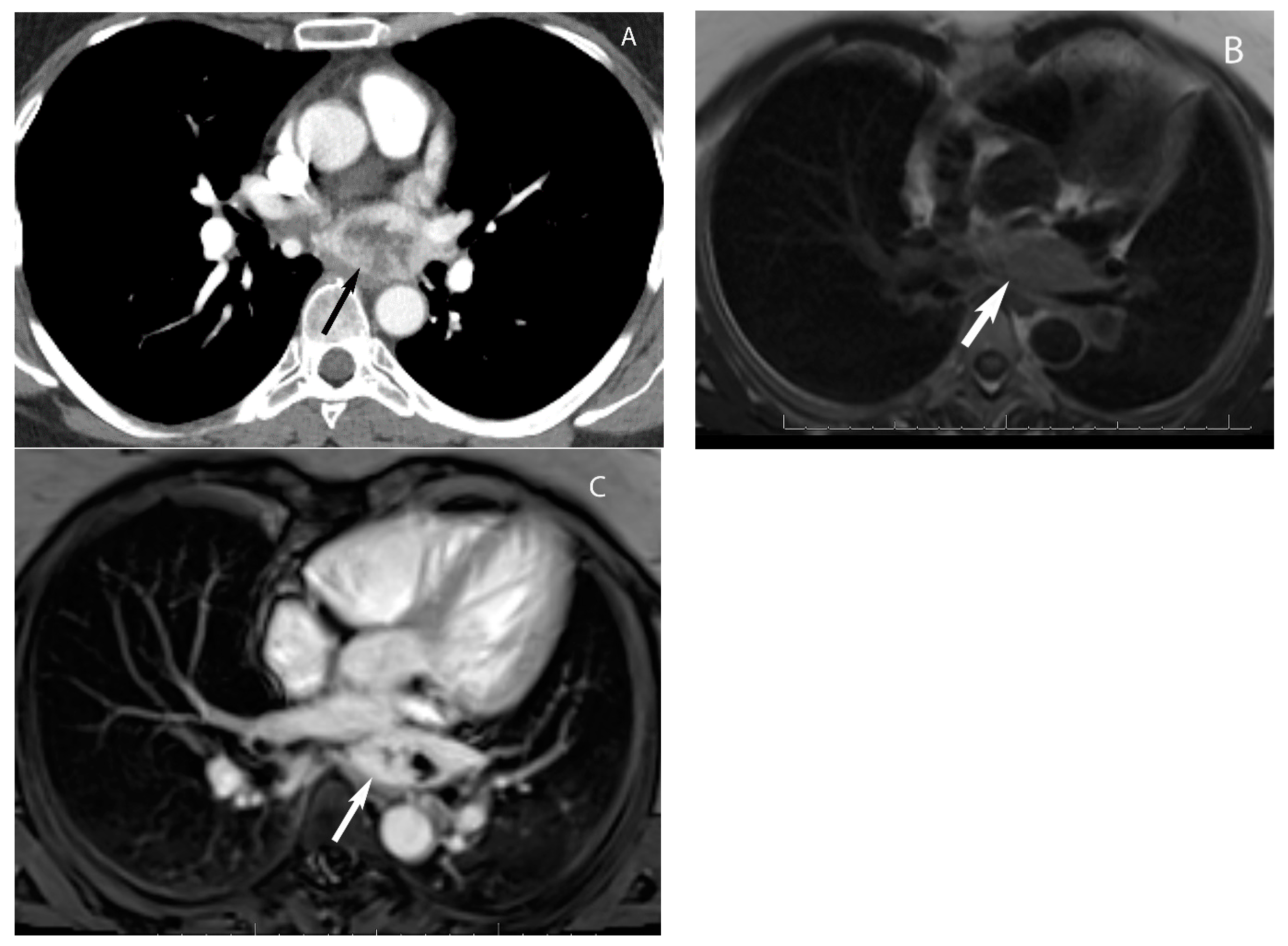 Diagnostics 13 03171 g016