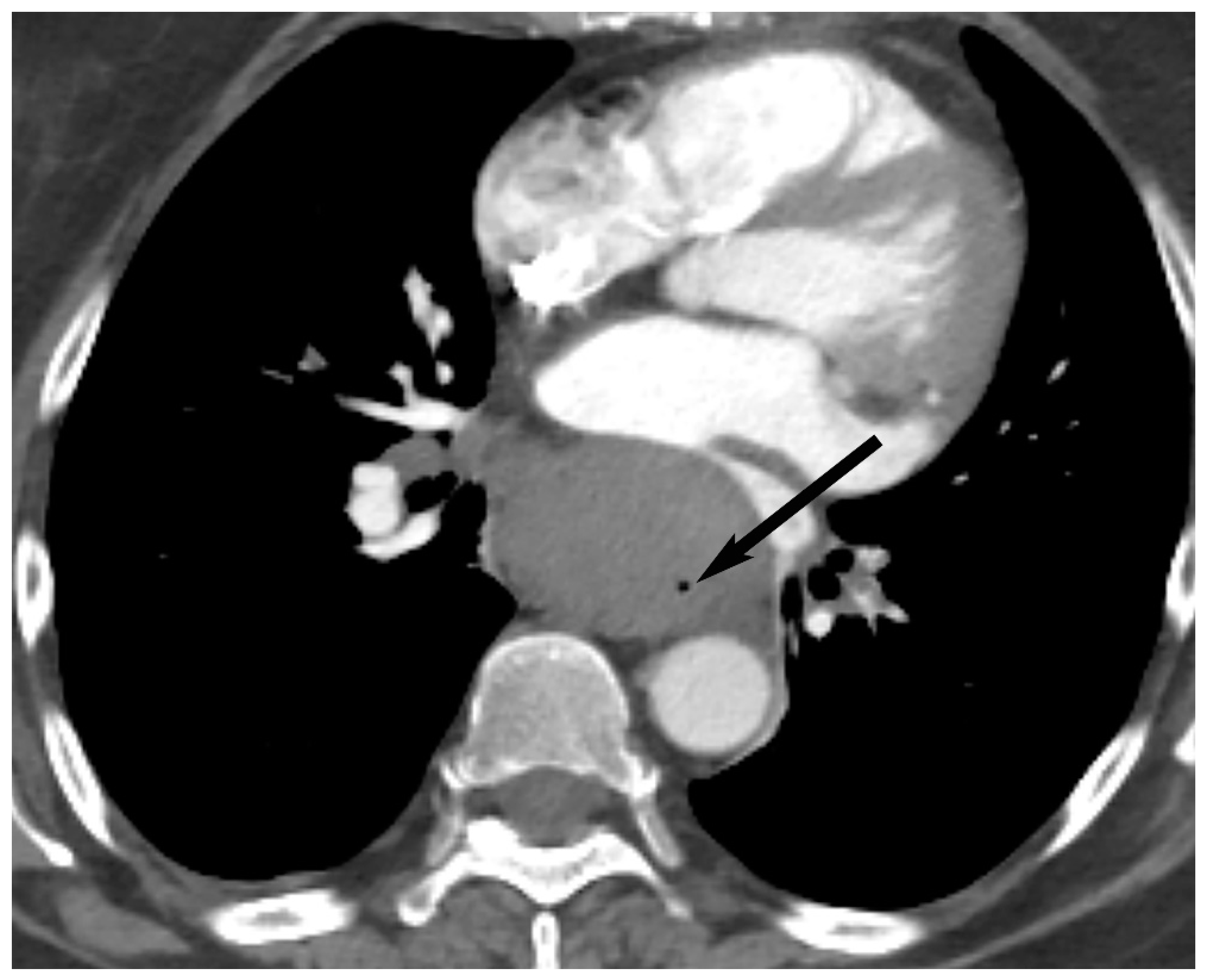 Diagnostics 13 03171 g018