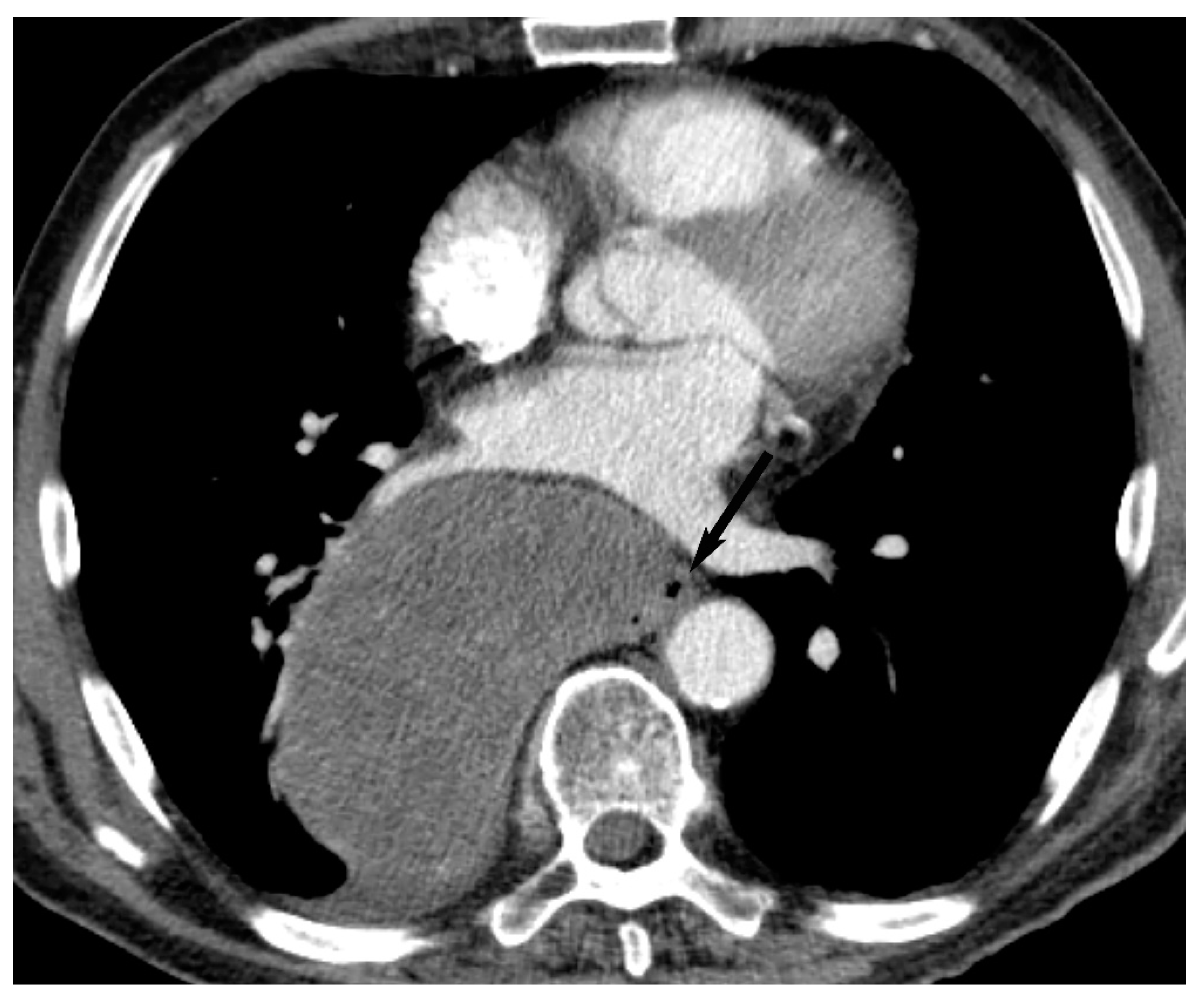 Diagnostics 13 03171 g019