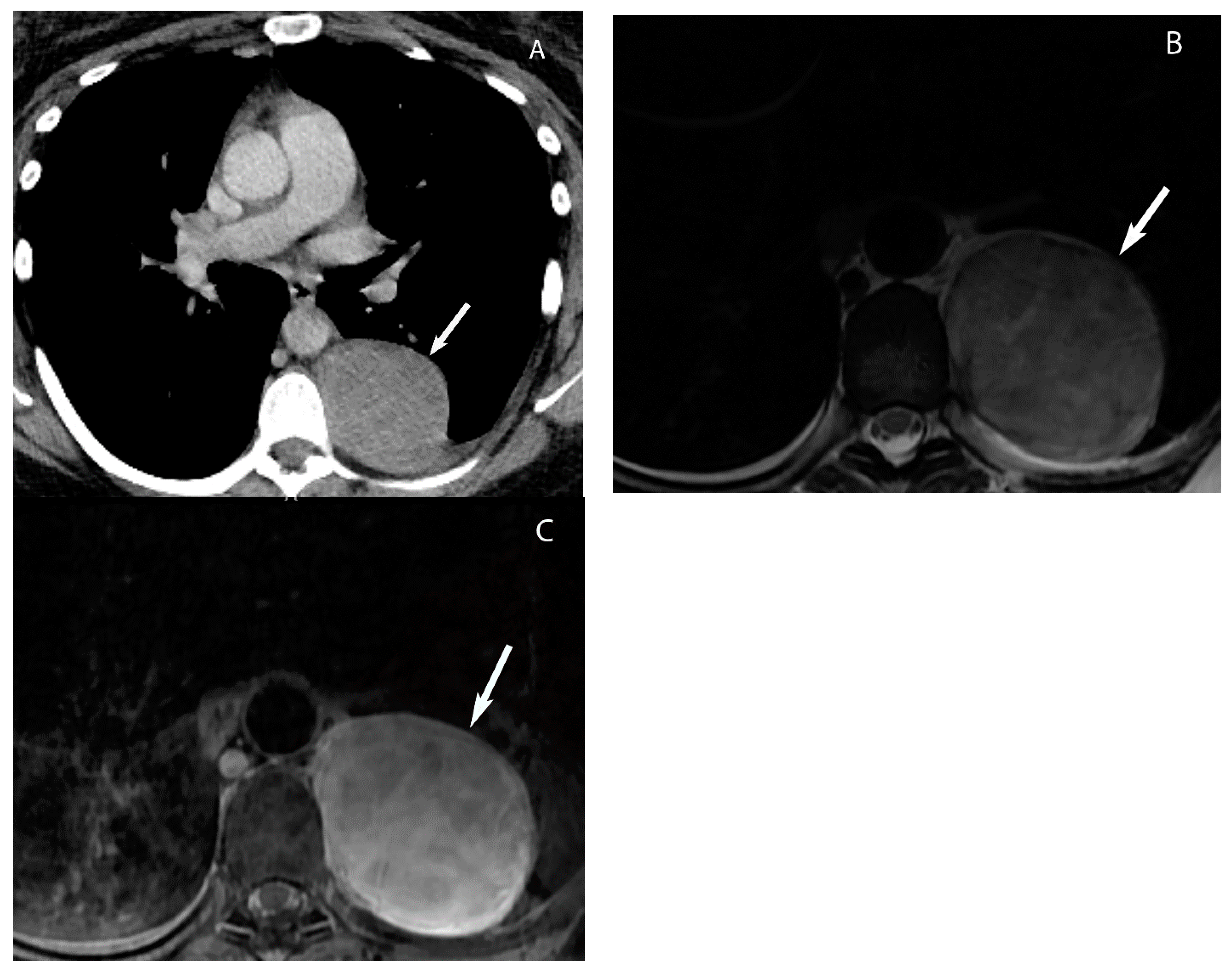 Diagnostics 13 03171 g020