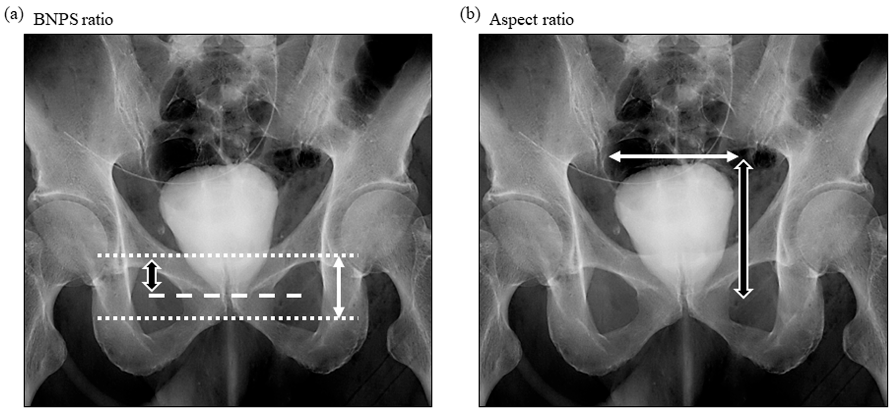 Diagnostics 13 03173 g002