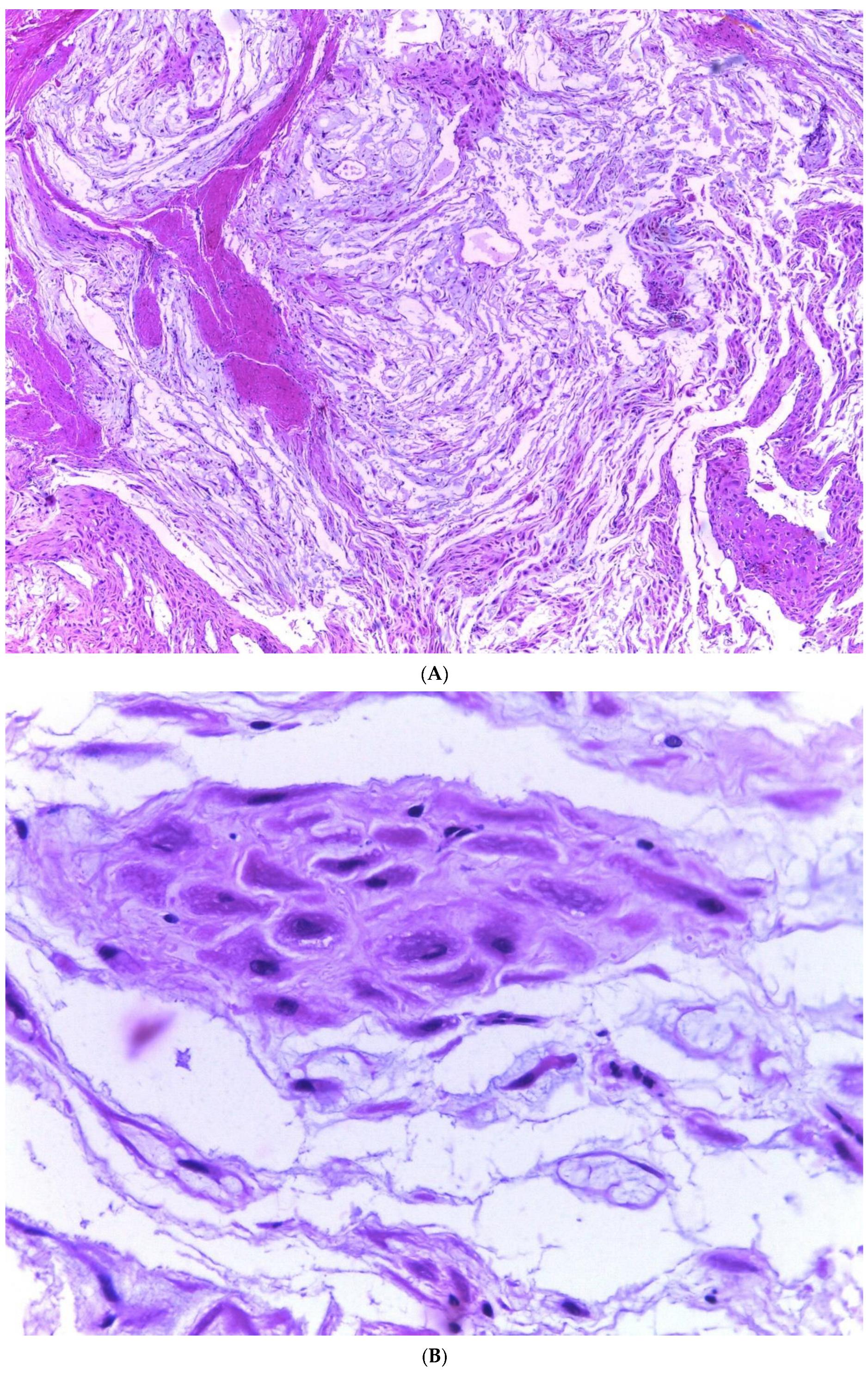 Diagnostics 13 03176 g002a