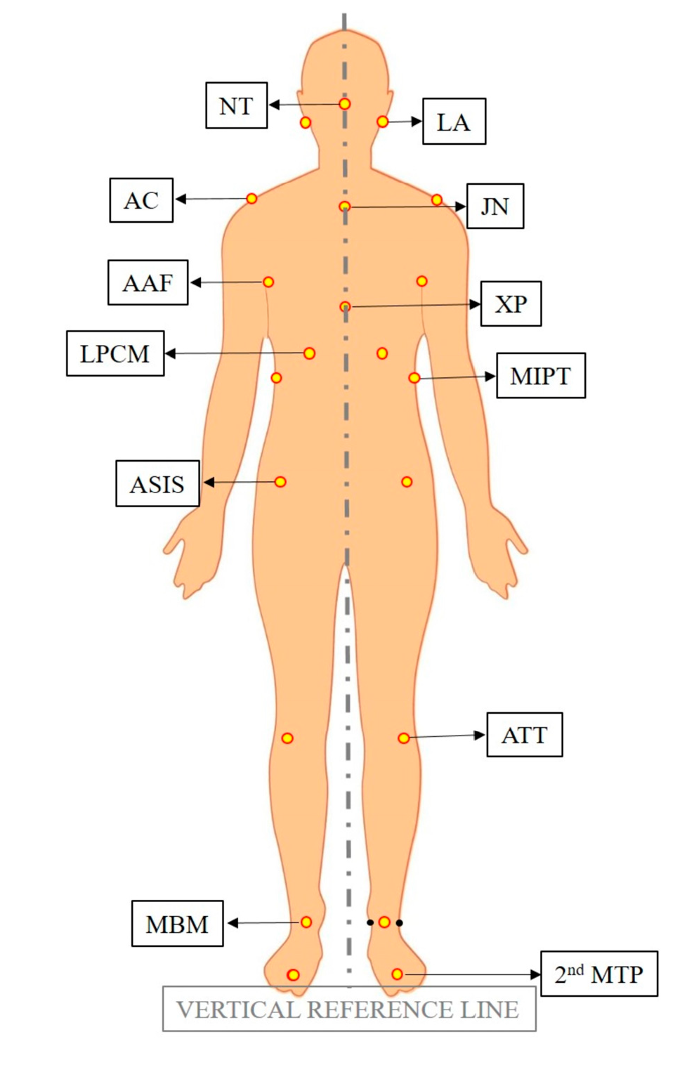 Diagnostics 13 03177 g002