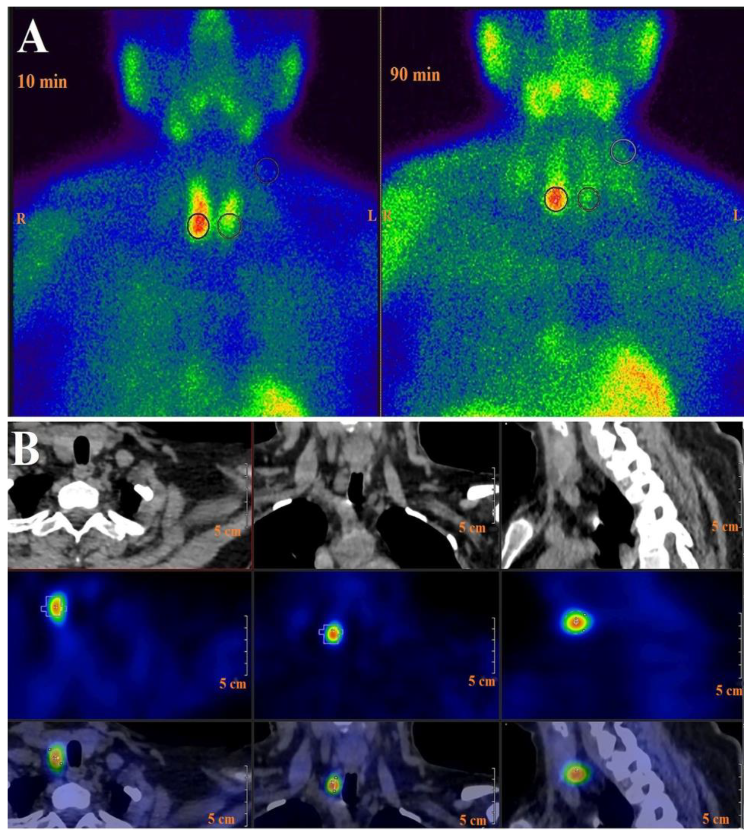 Diagnostics 13 03182 g001