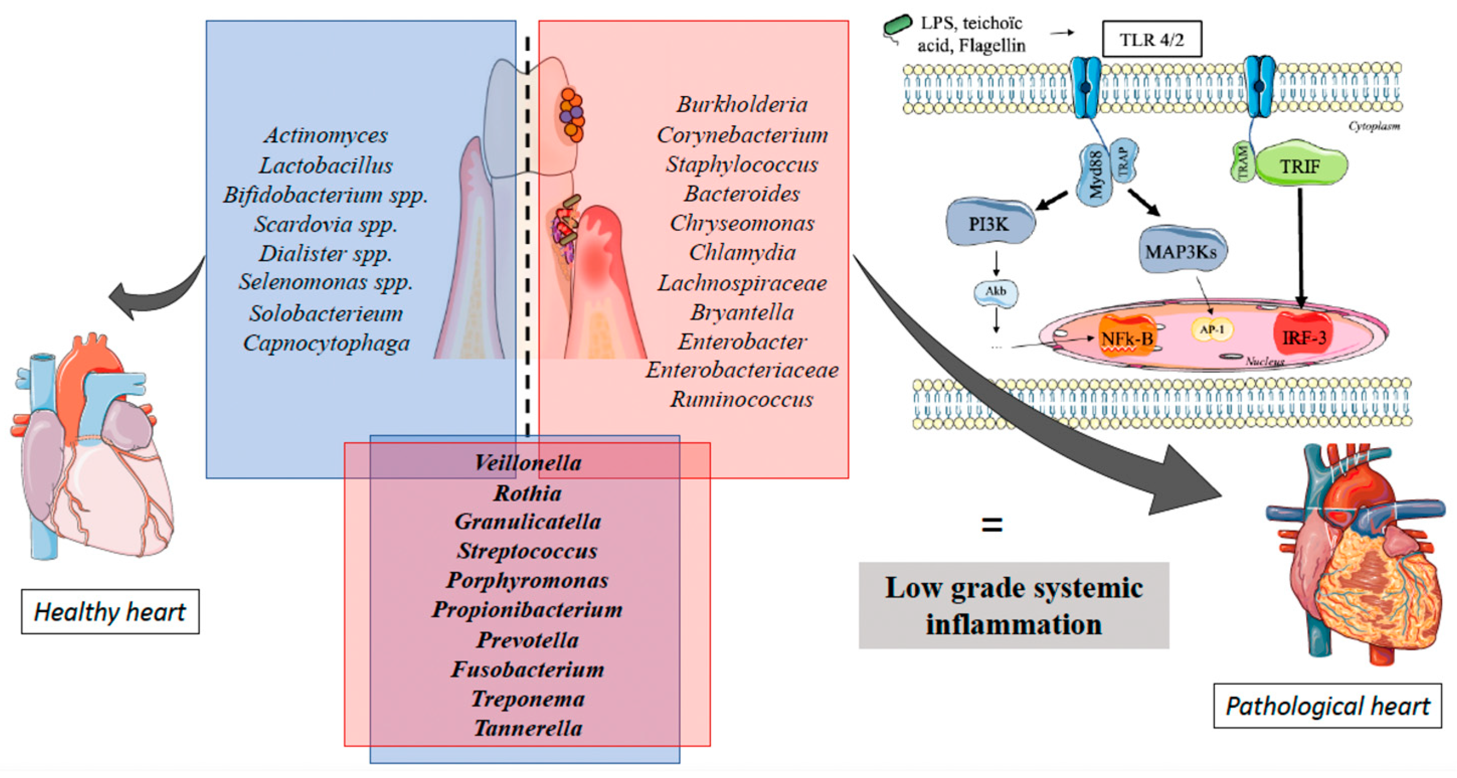 Diagnostics 13 03184 g001