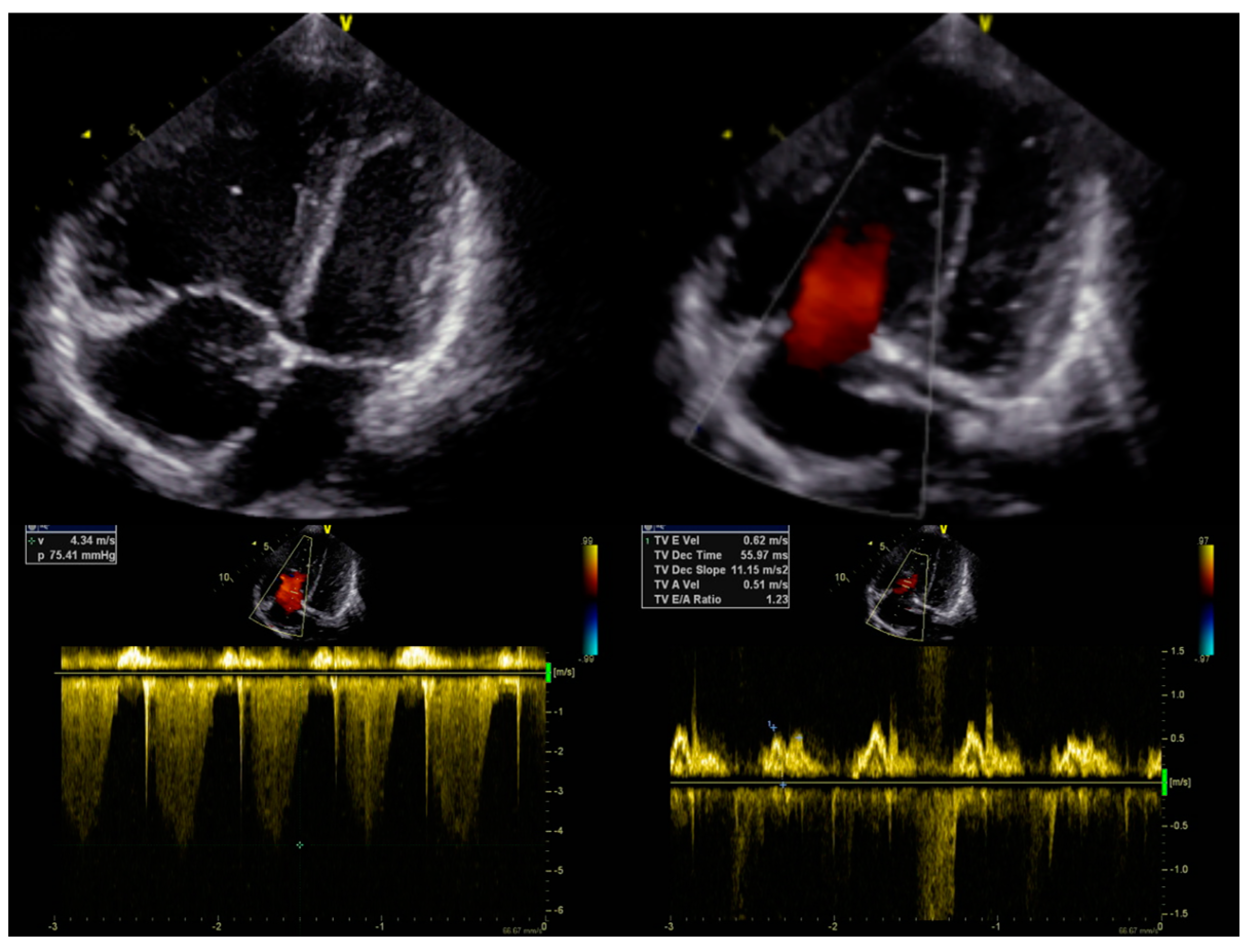 Diagnostics 13 03185 g001