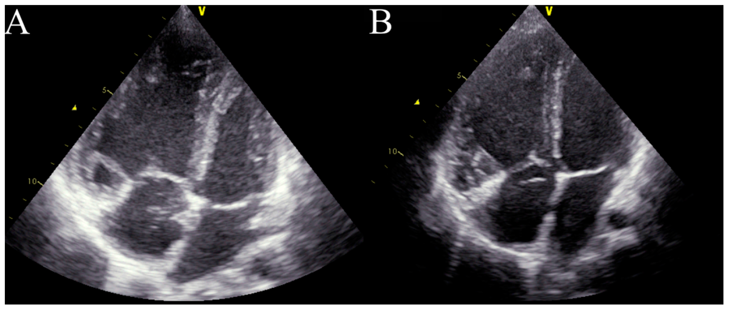 Diagnostics 13 03185 g002