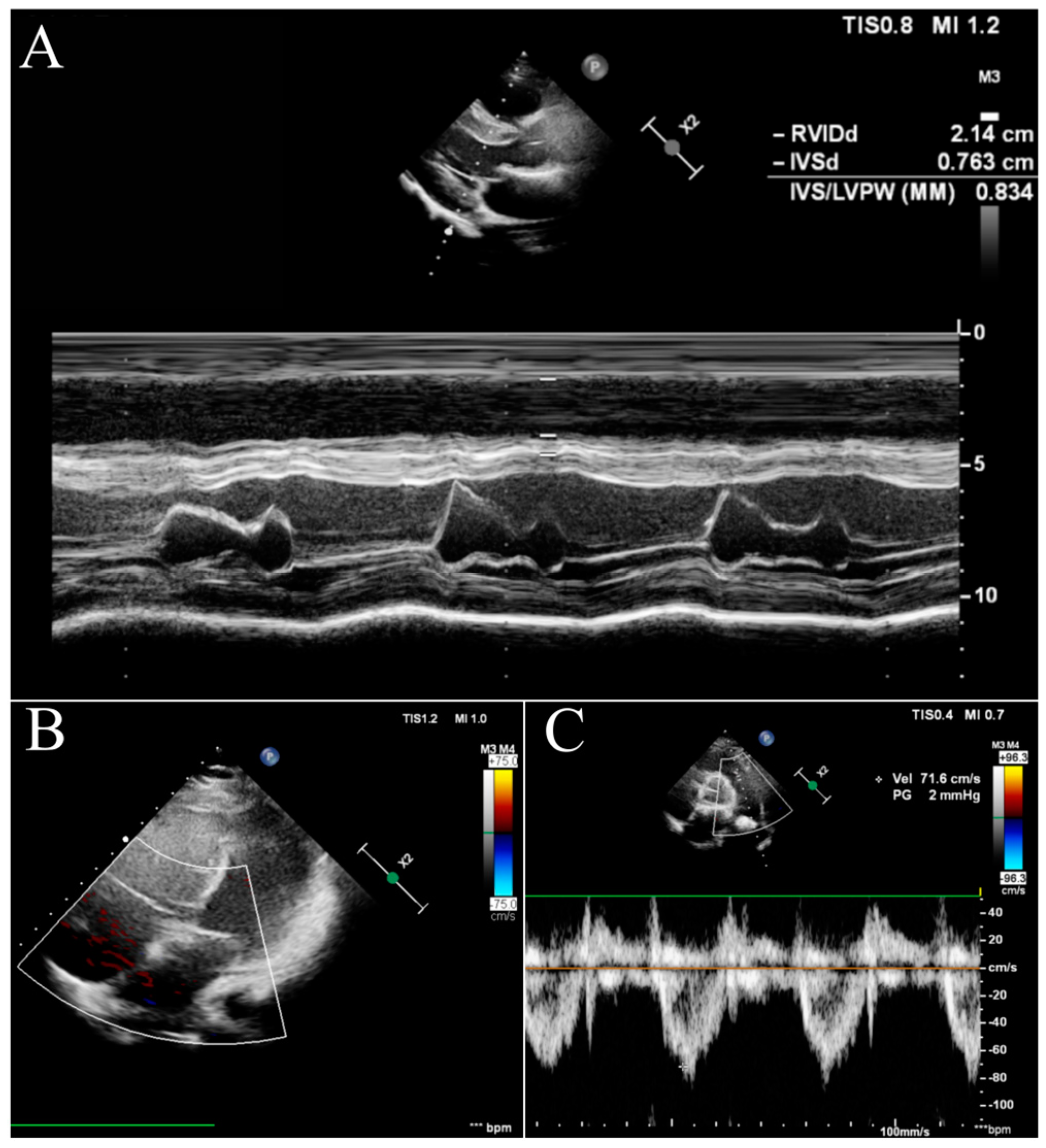 Diagnostics 13 03185 g003