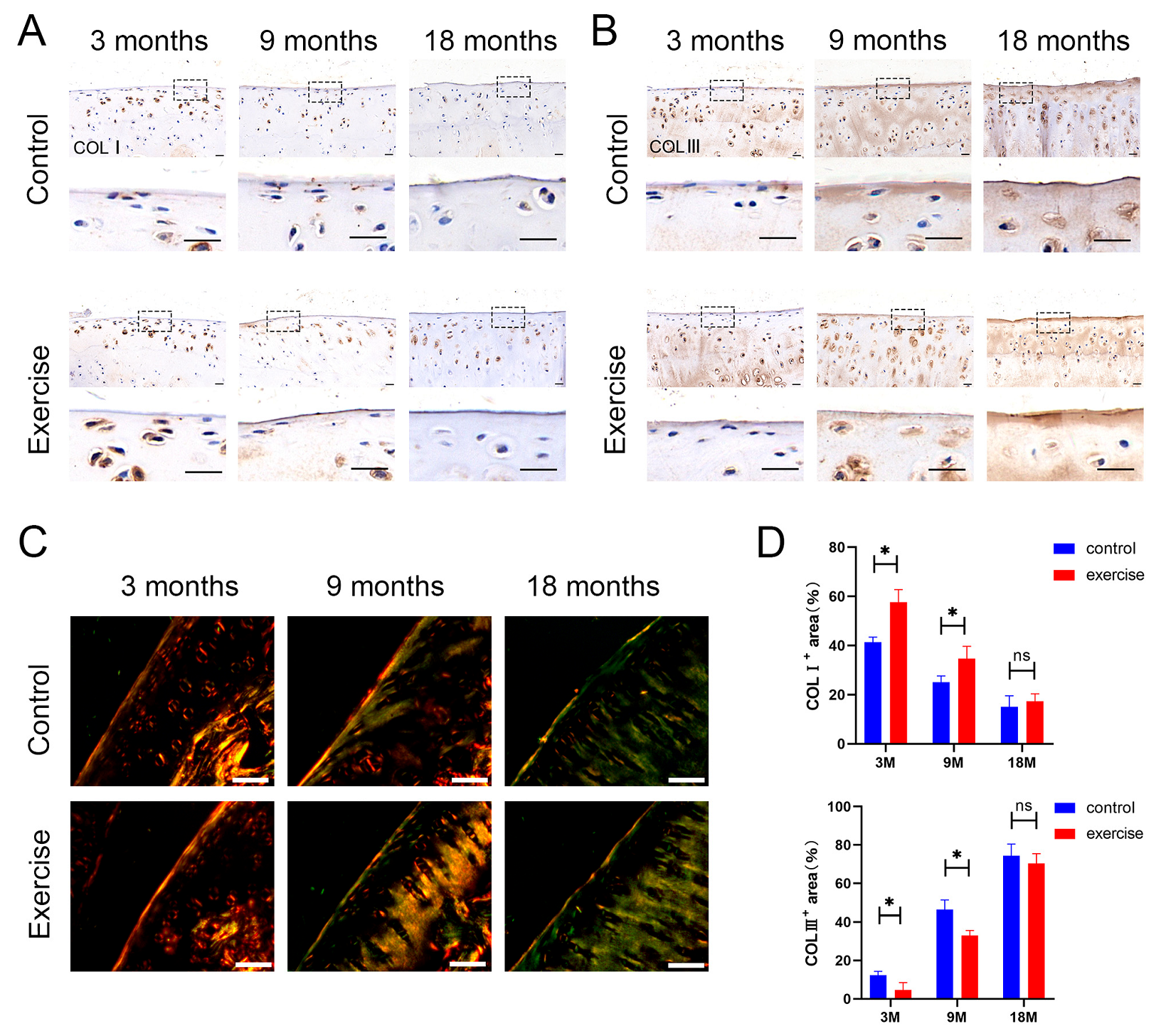 Diagnostics 13 03193 g004