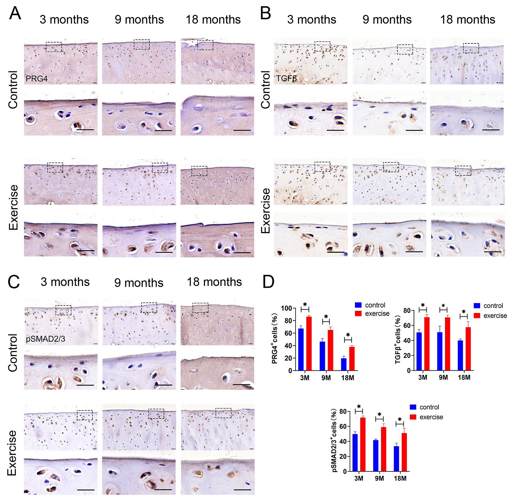 Diagnostics 13 03193 g005